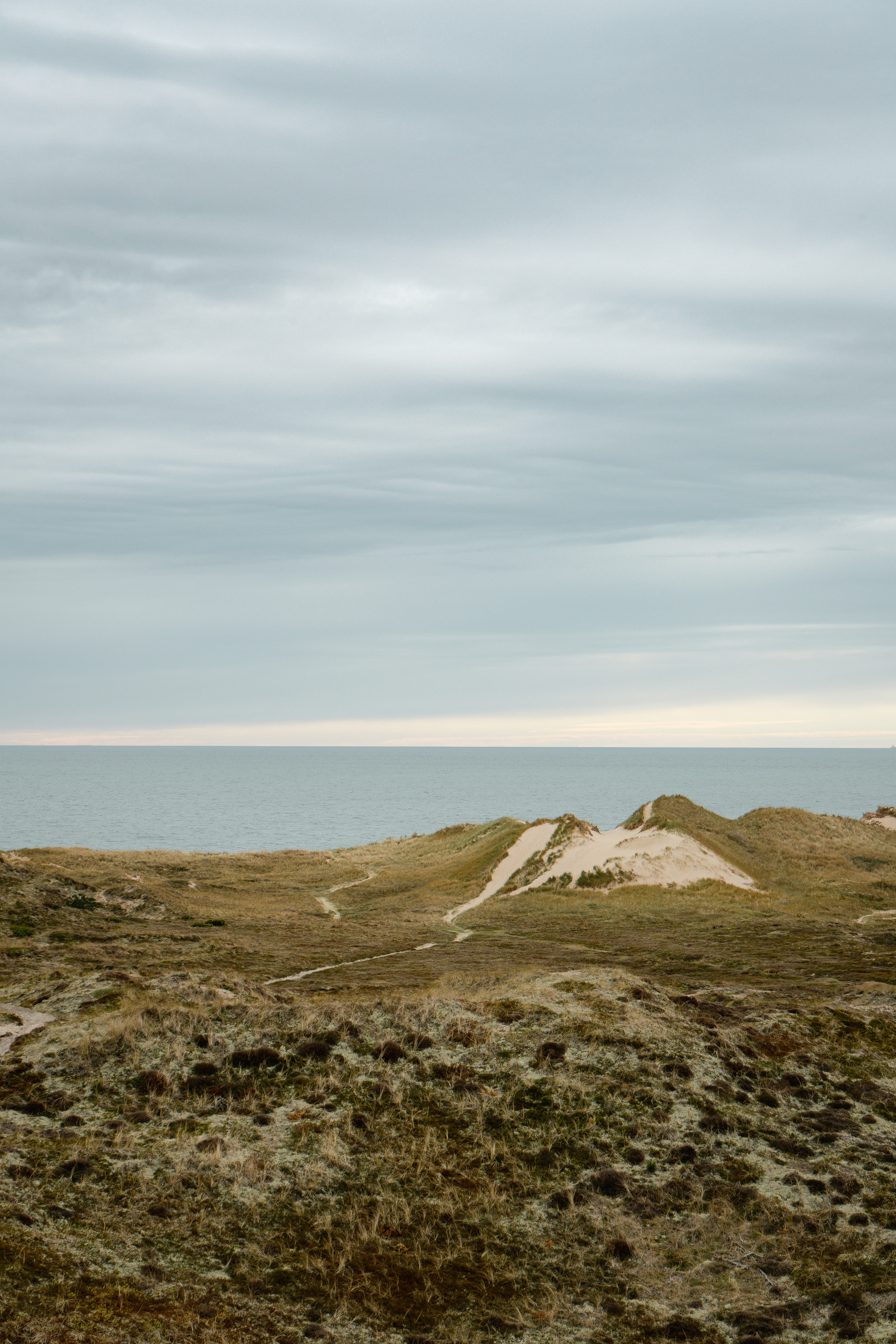 Photo by max_boehme