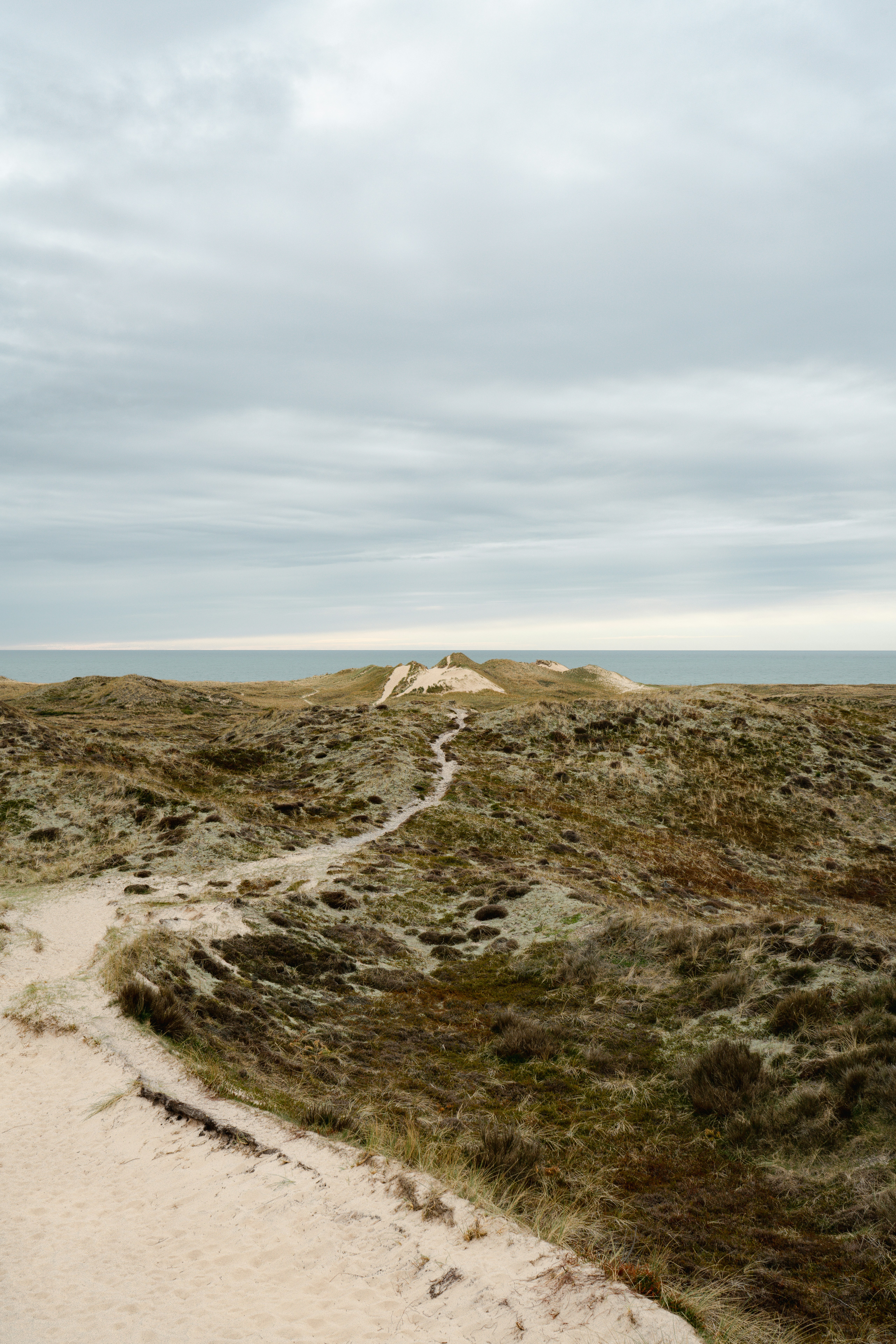 Photo by max_boehme