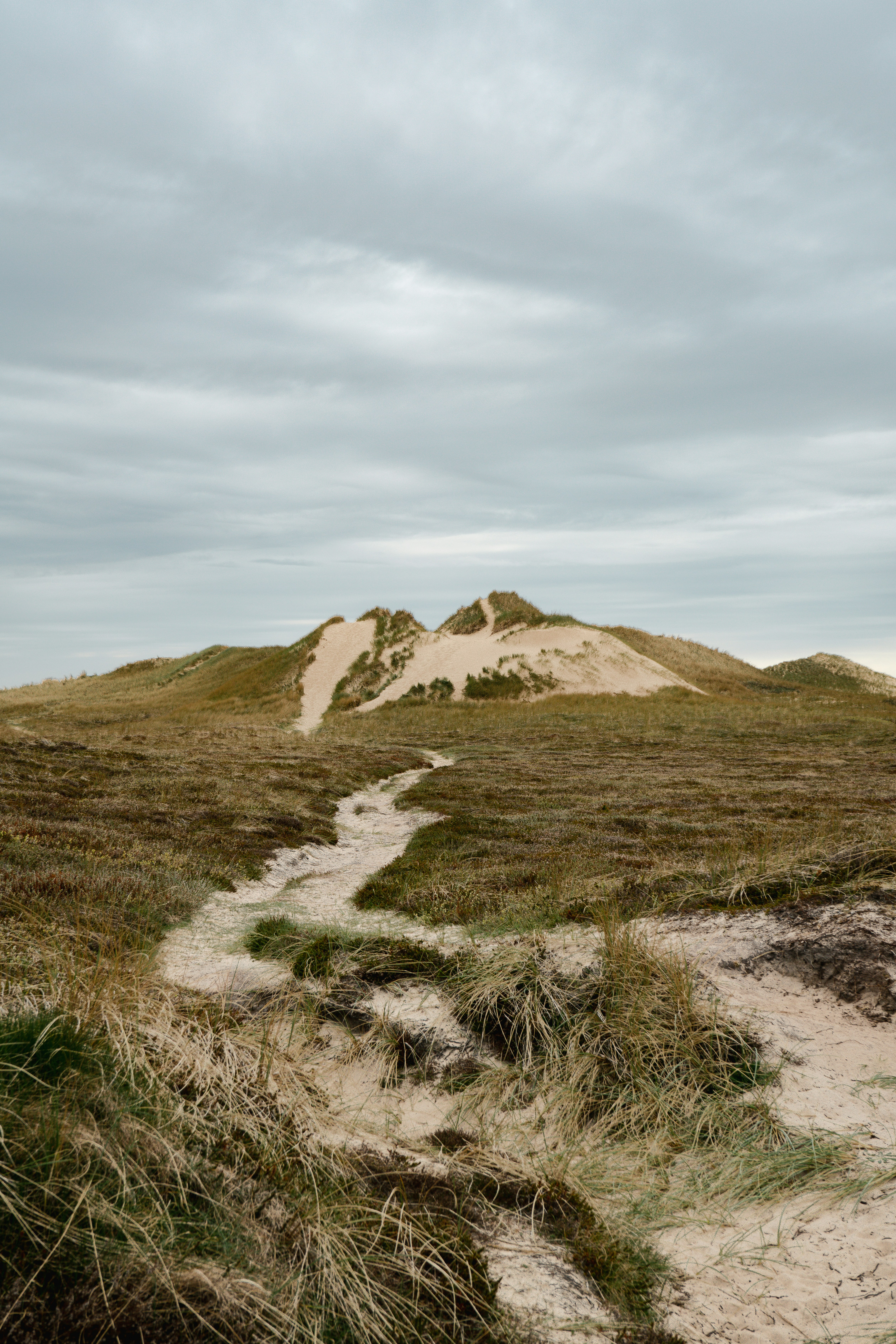 Photo by max_boehme
