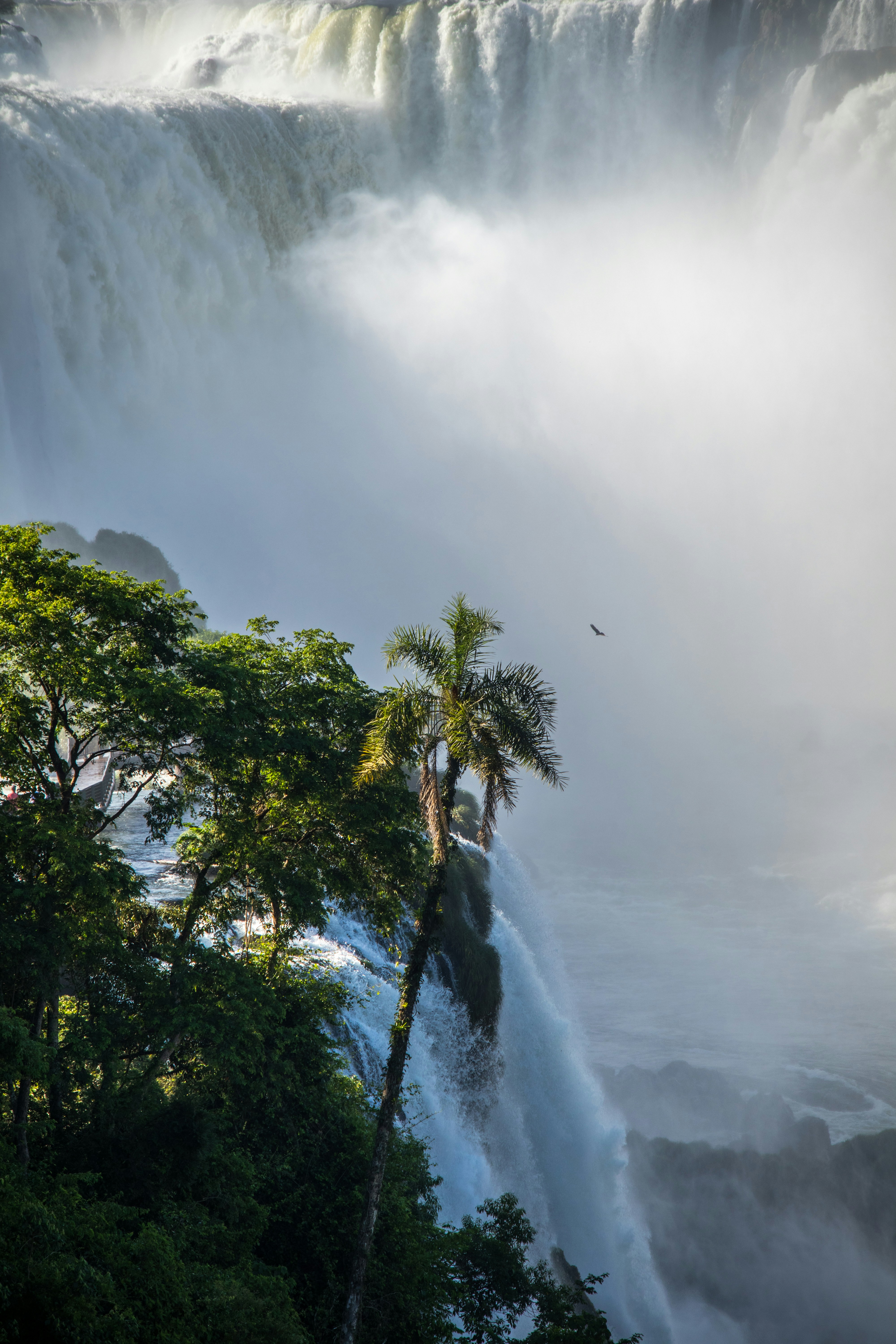 The Brazilian Side: Why You Should Cross the Border