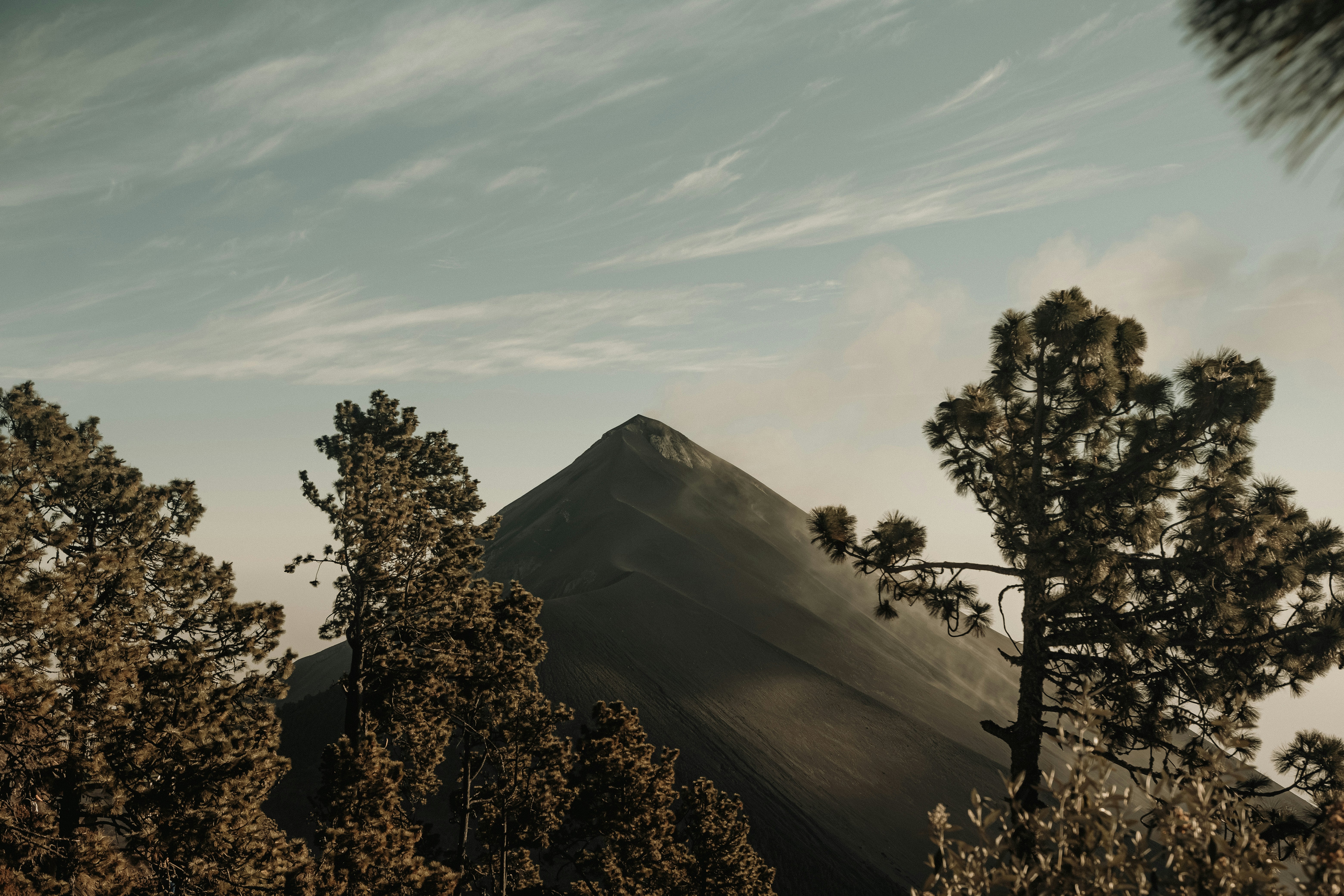 Puncak gunung berbentuk kerucut dibingkai oleh pepohonan cemara.