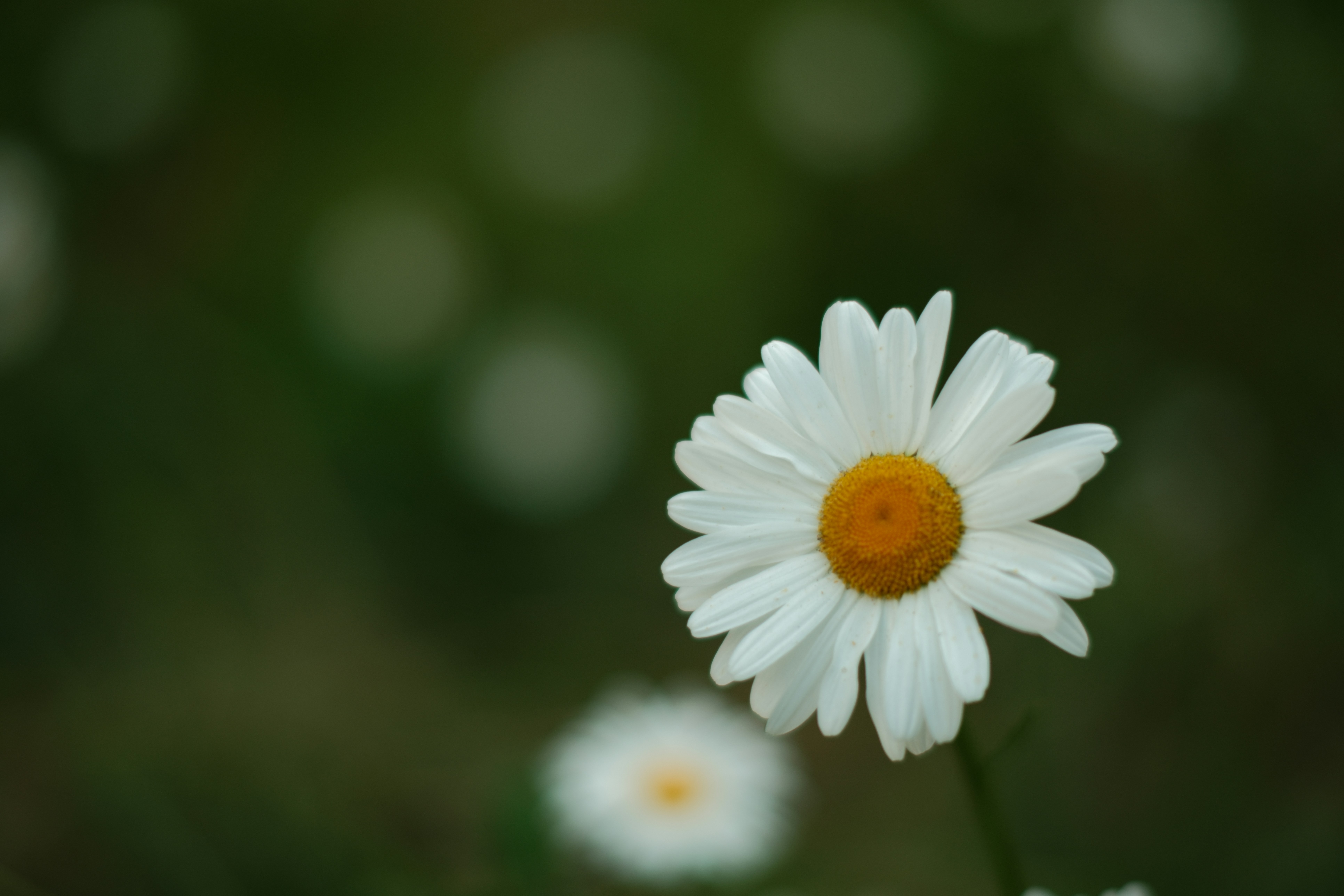 Photo by ahaildas