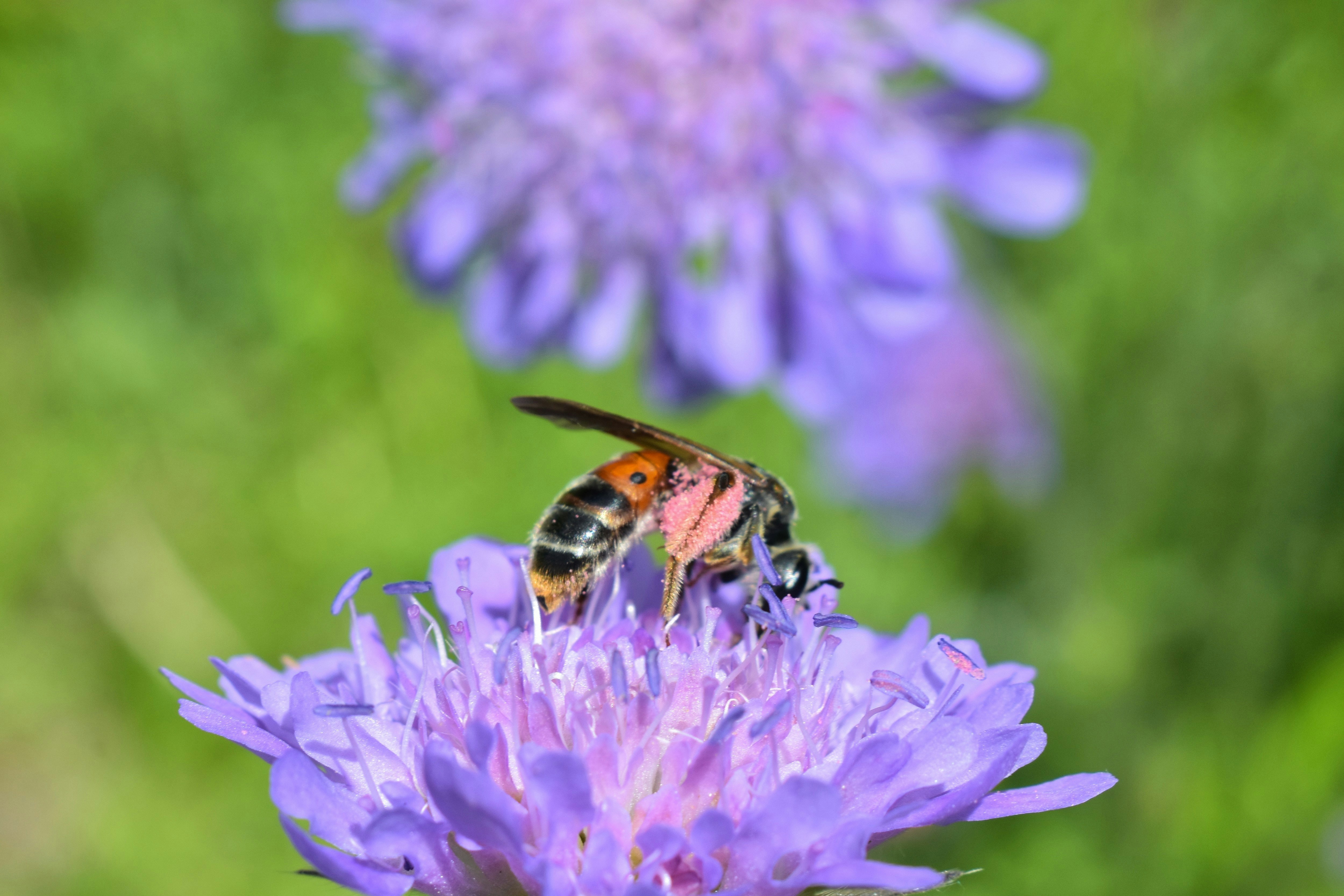 Photo by hejpetrpepa