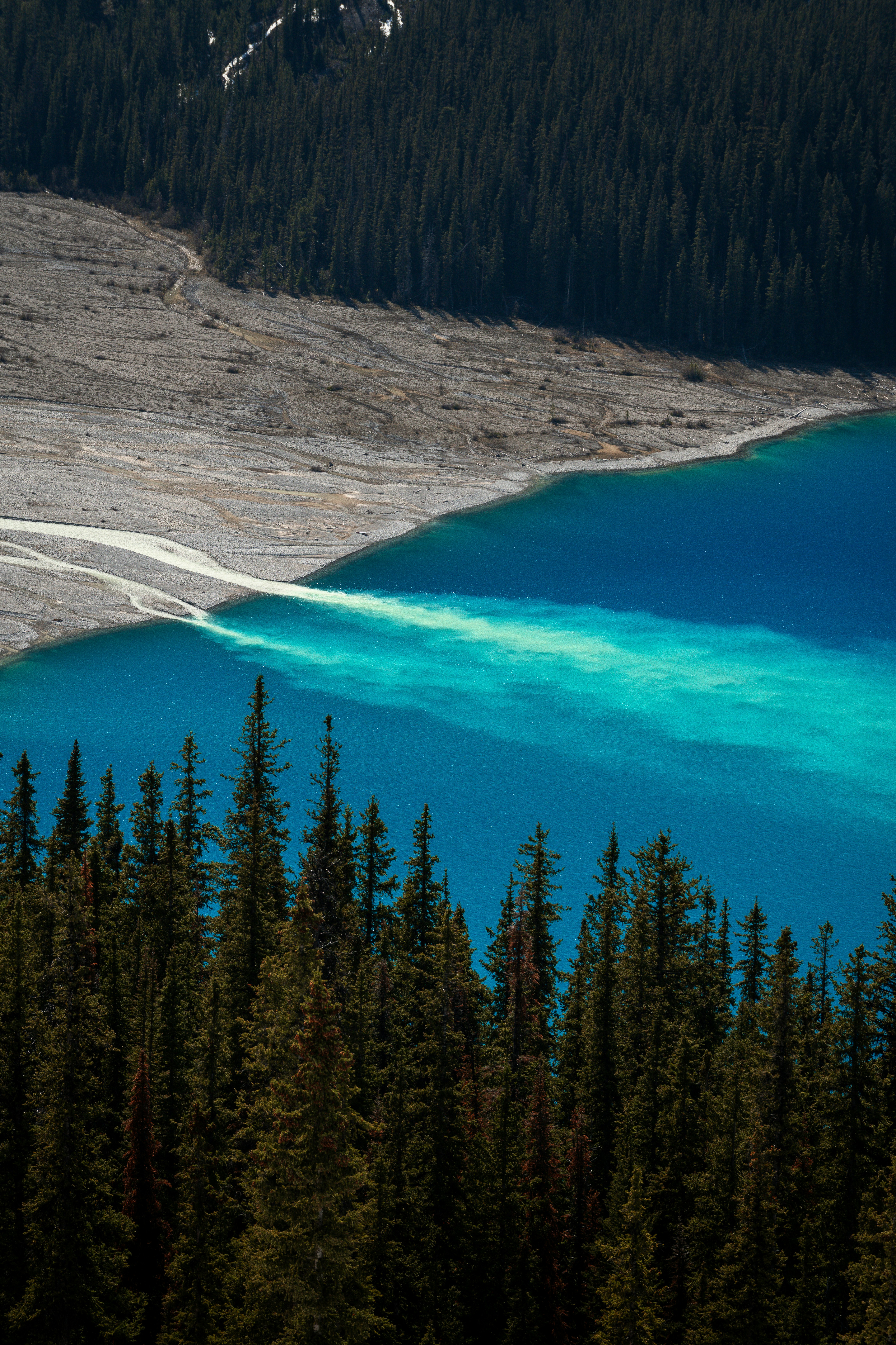 A vibrant blue lake with a stream and evergreen trees.