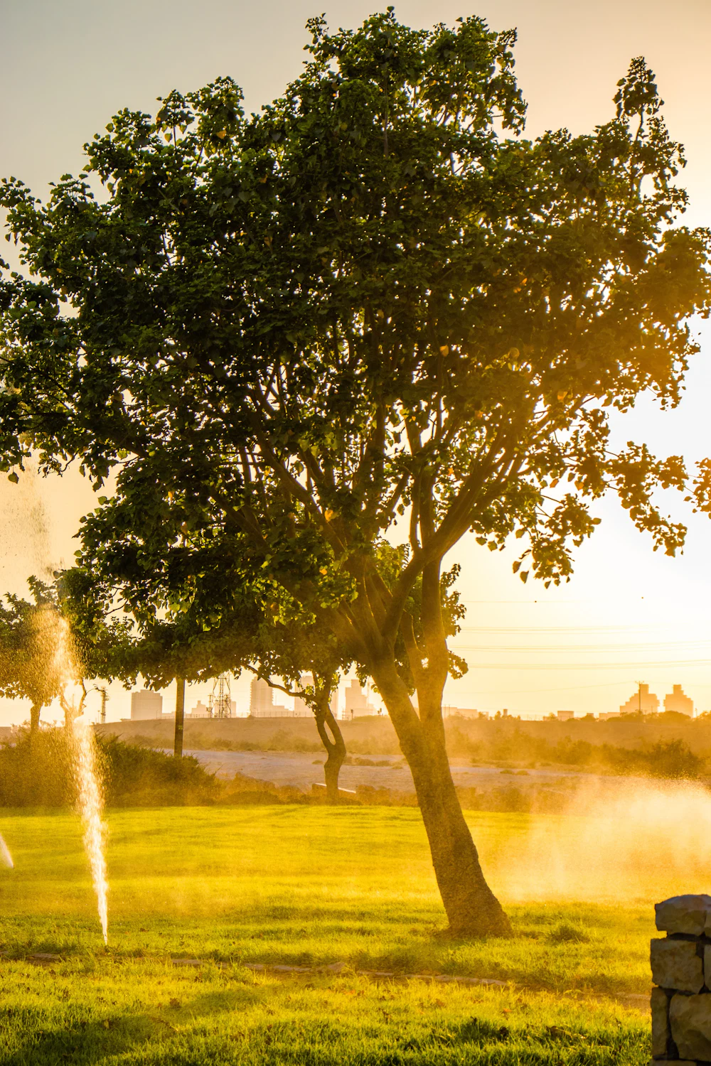 well-maintained irrigation system at sunset