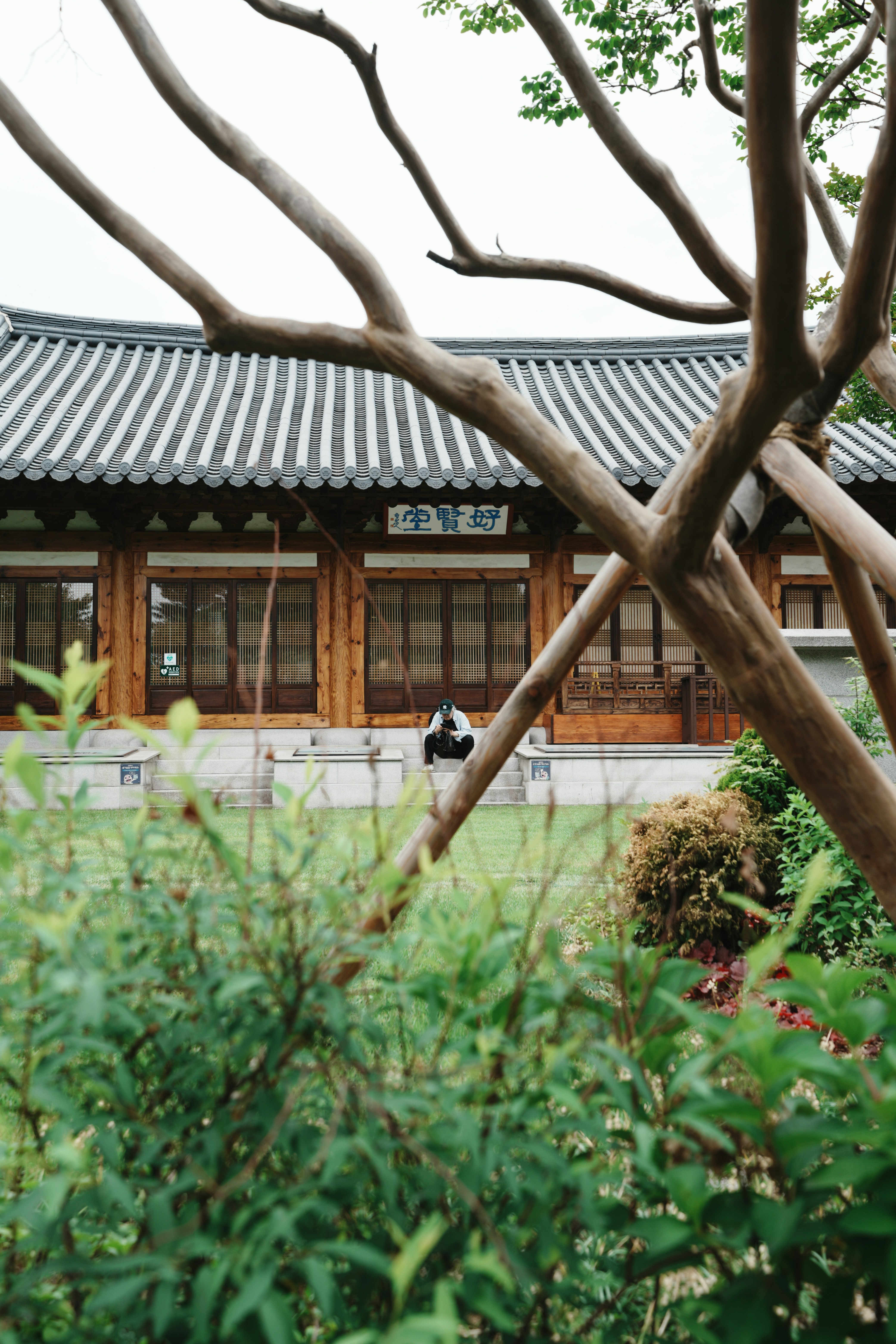 Photo by sonjugwang