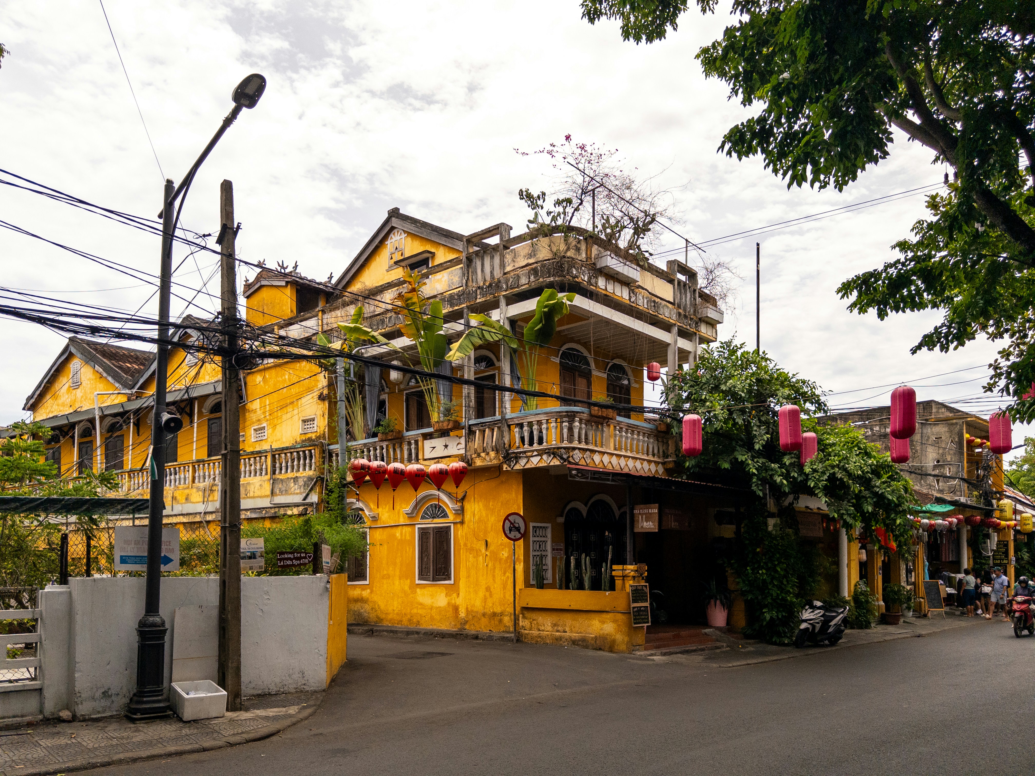 Photo by dharlequin