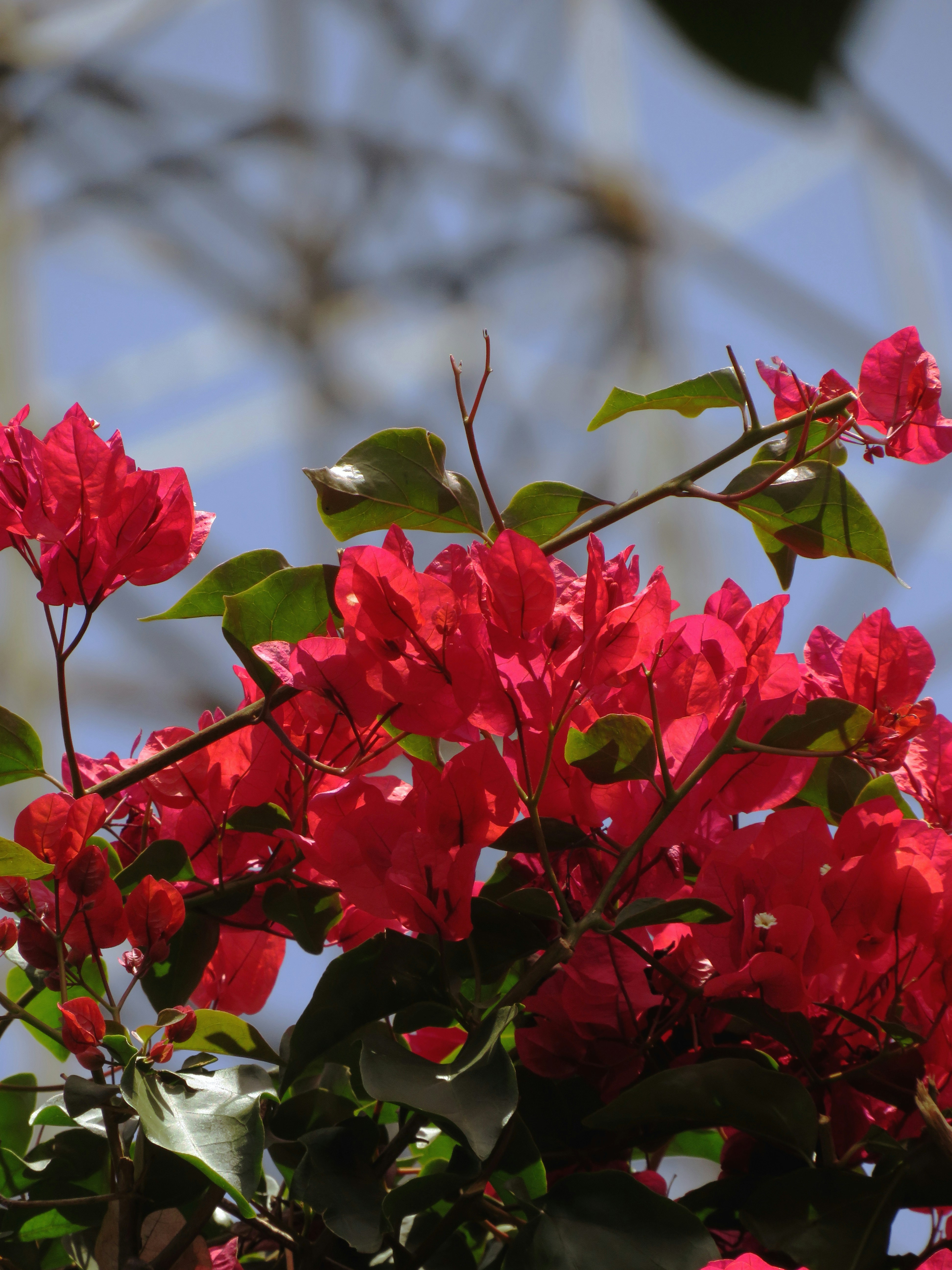 Photo by alphontrio