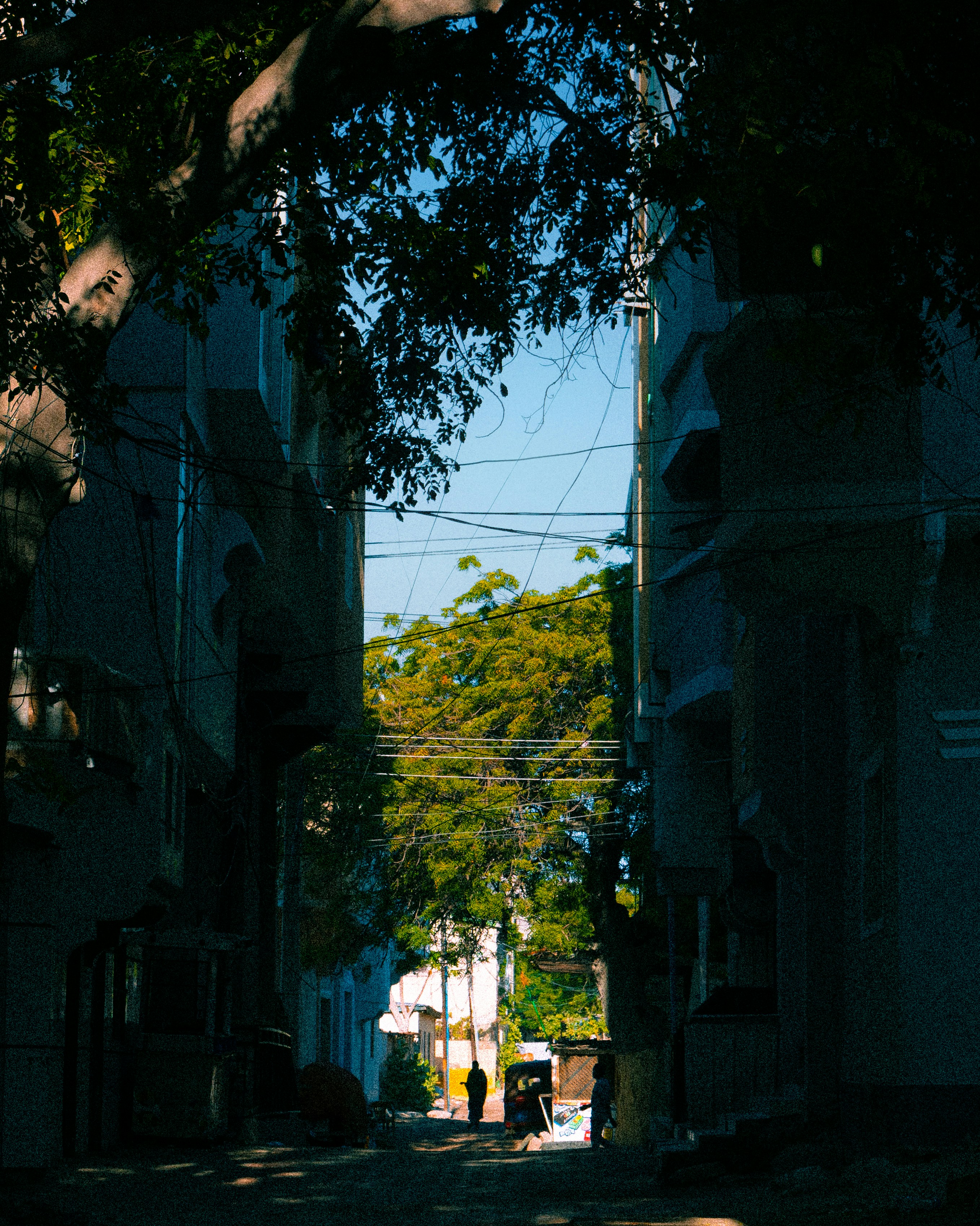 Photo by uncannystranger