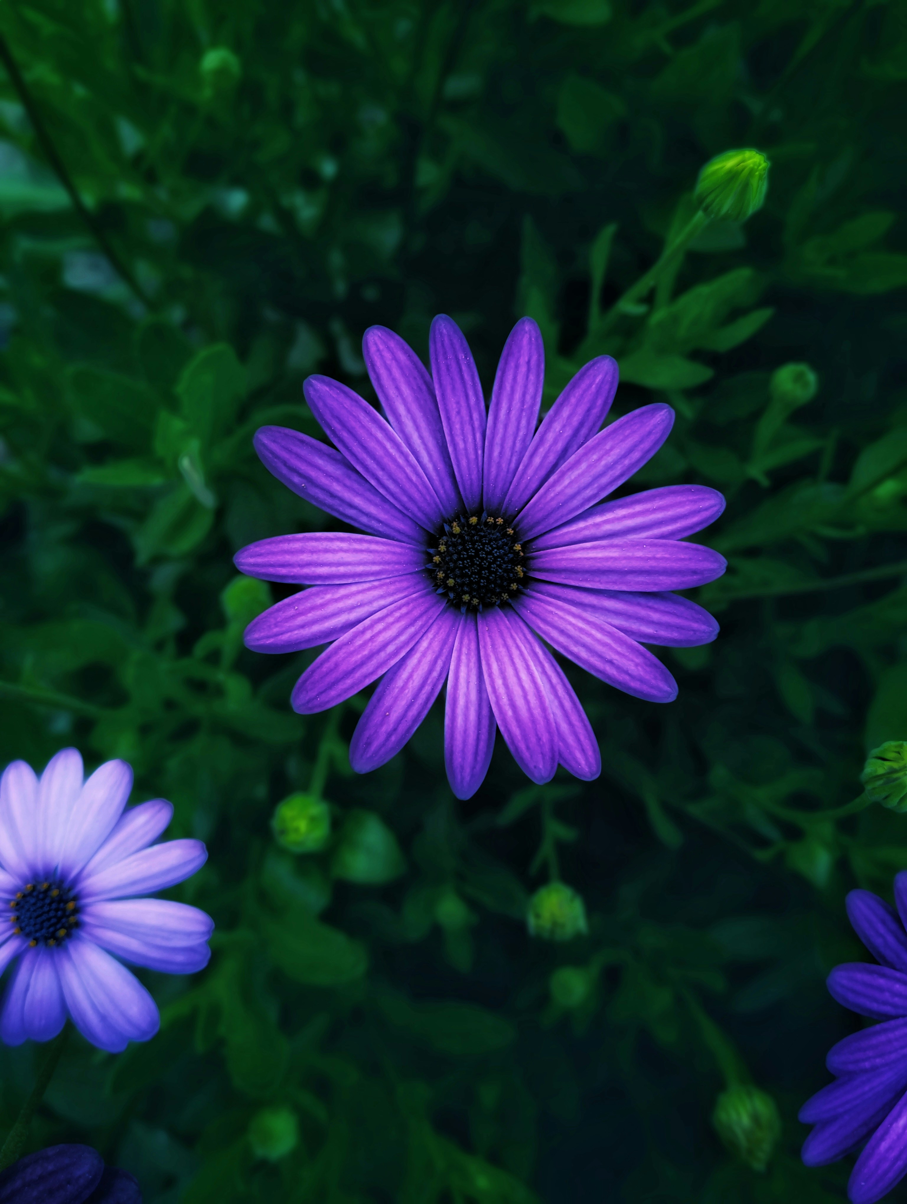 Photo by sameerowltheavengers