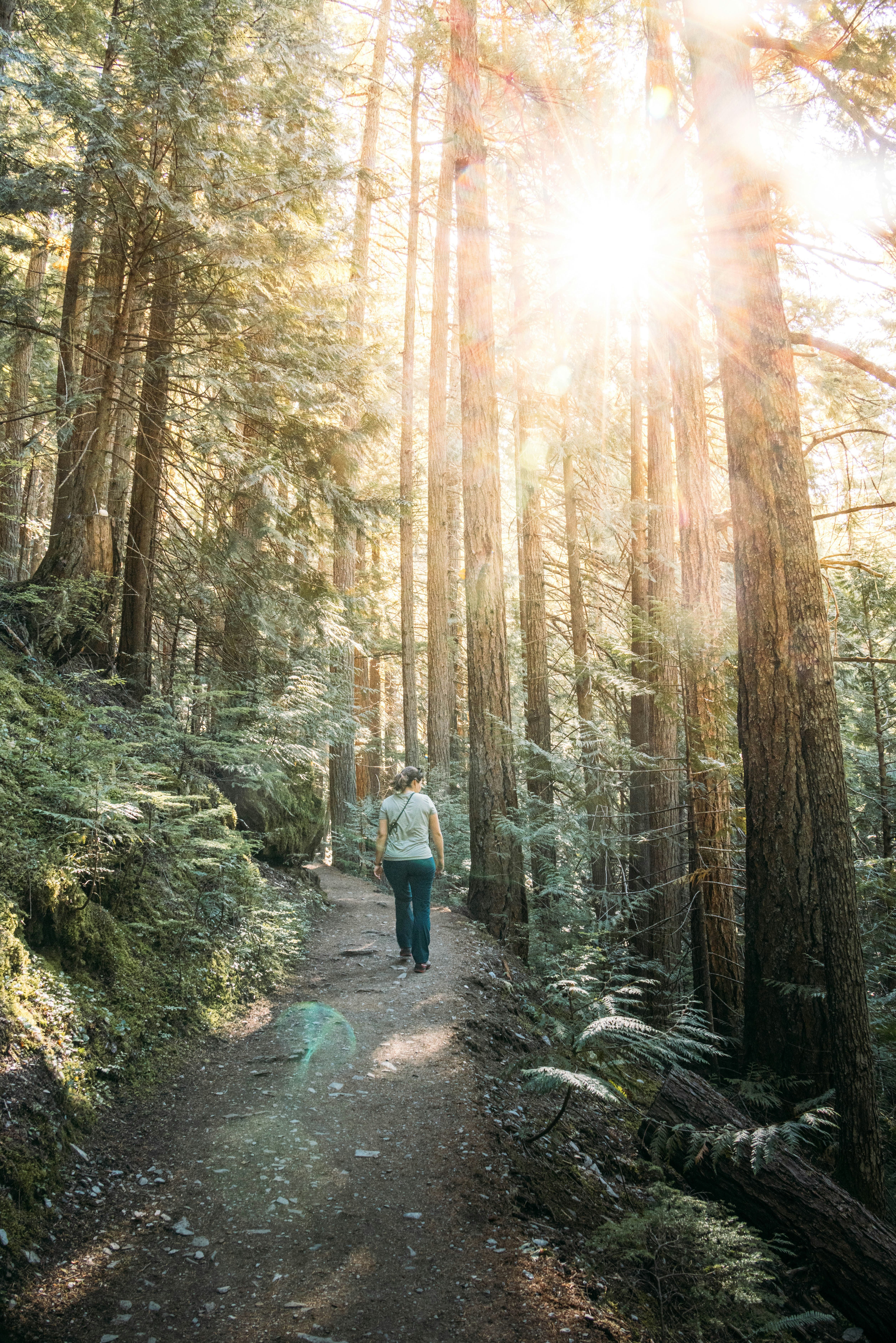 Mindfulness hiking in Japan