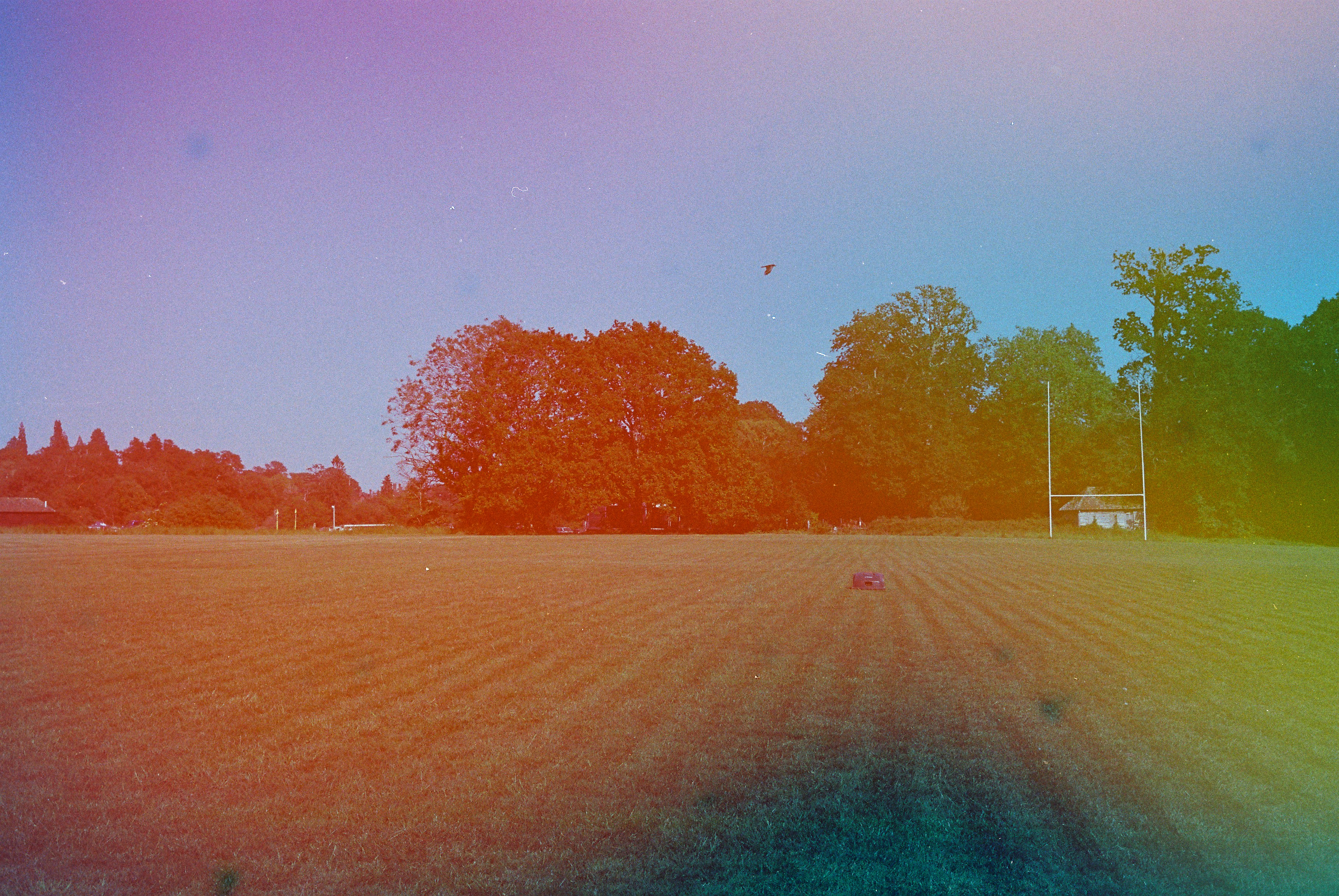 Get Weird With It: How Obsessively Niche Hobbies Became the Ultimate Flex
