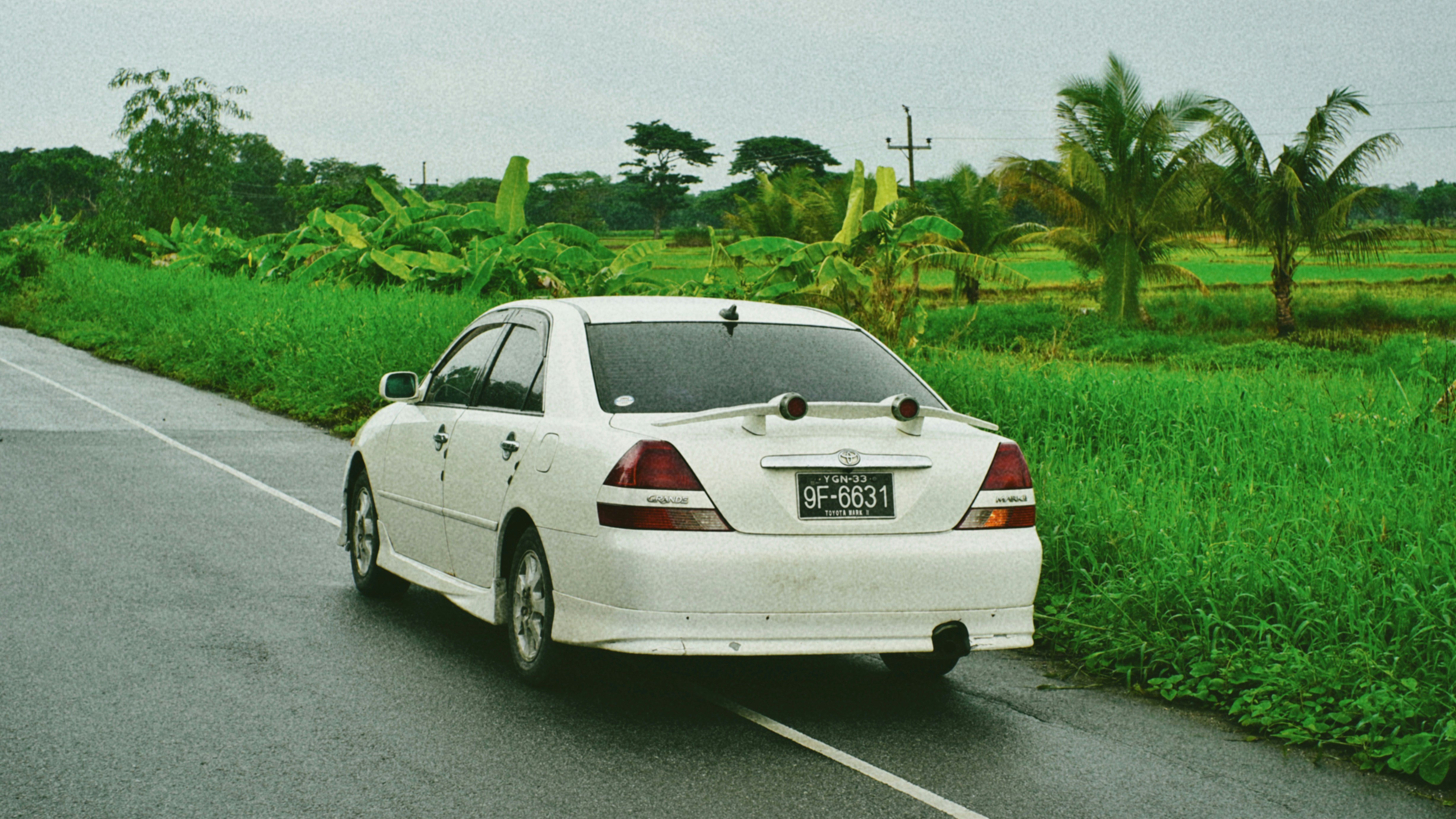 Carro branco na estrada molhada cercado por uma vegetação verde exuberante.