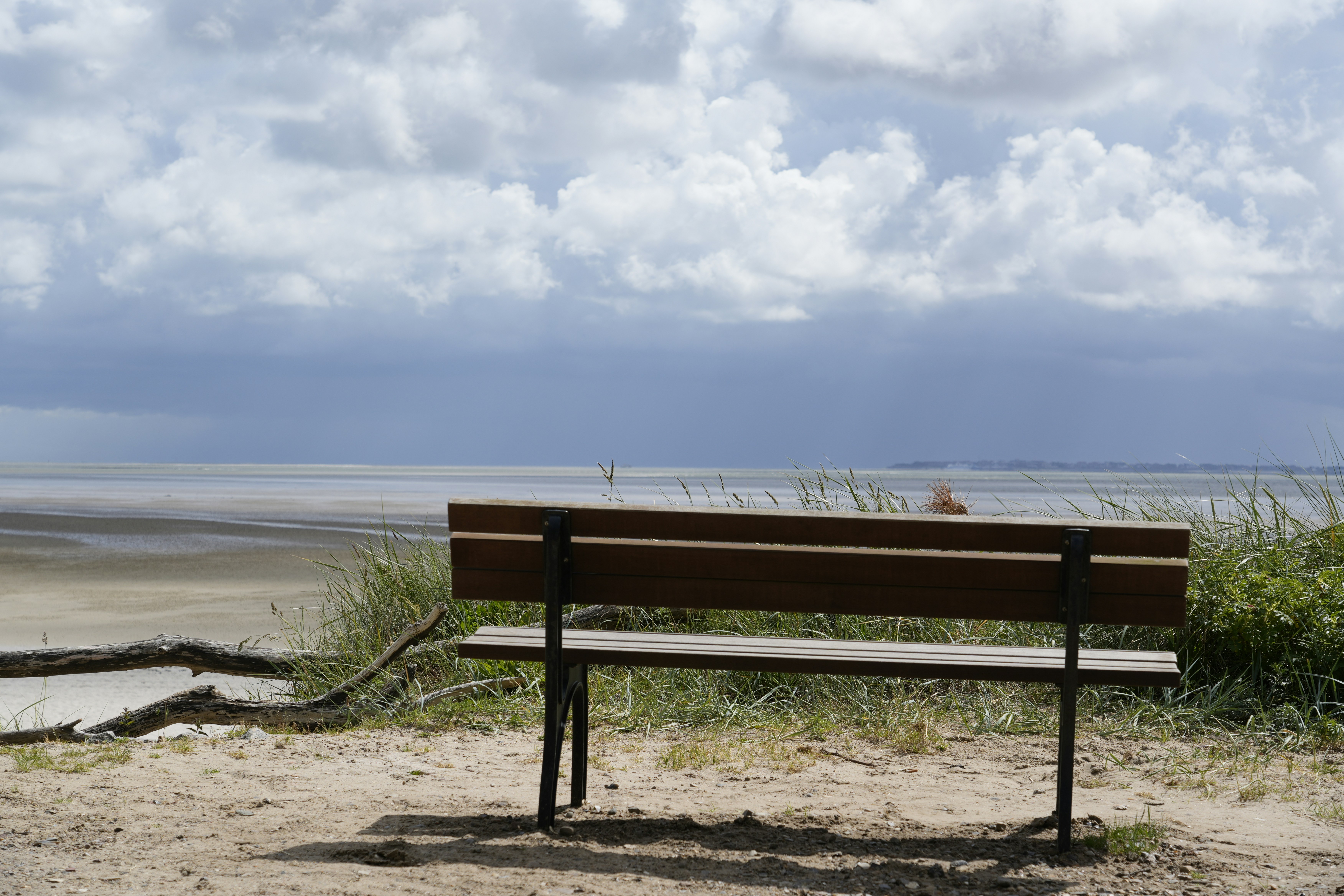 A wooden bench overlooks a calm beach under cloudy sky.