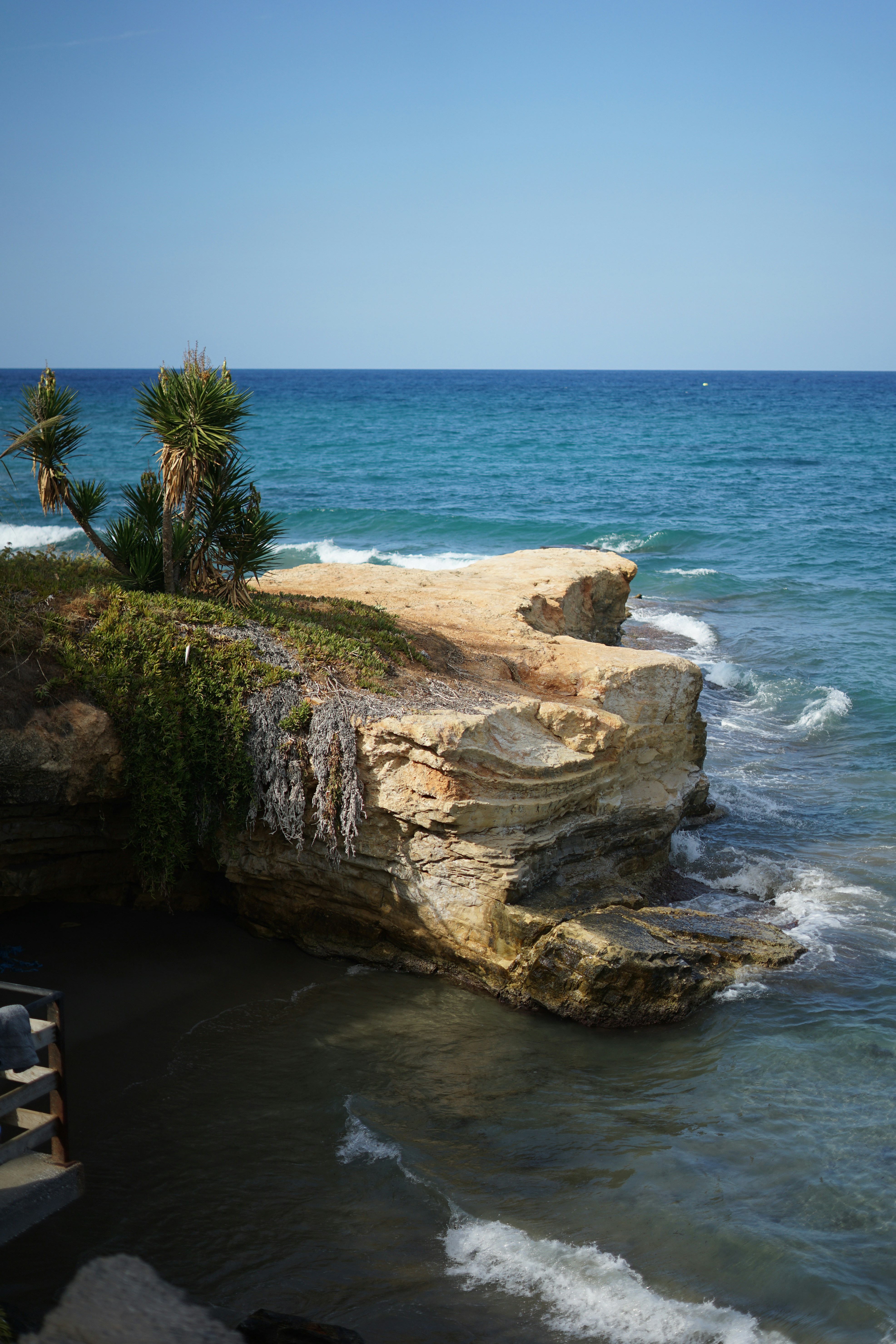 Photo by pongracznoemi
