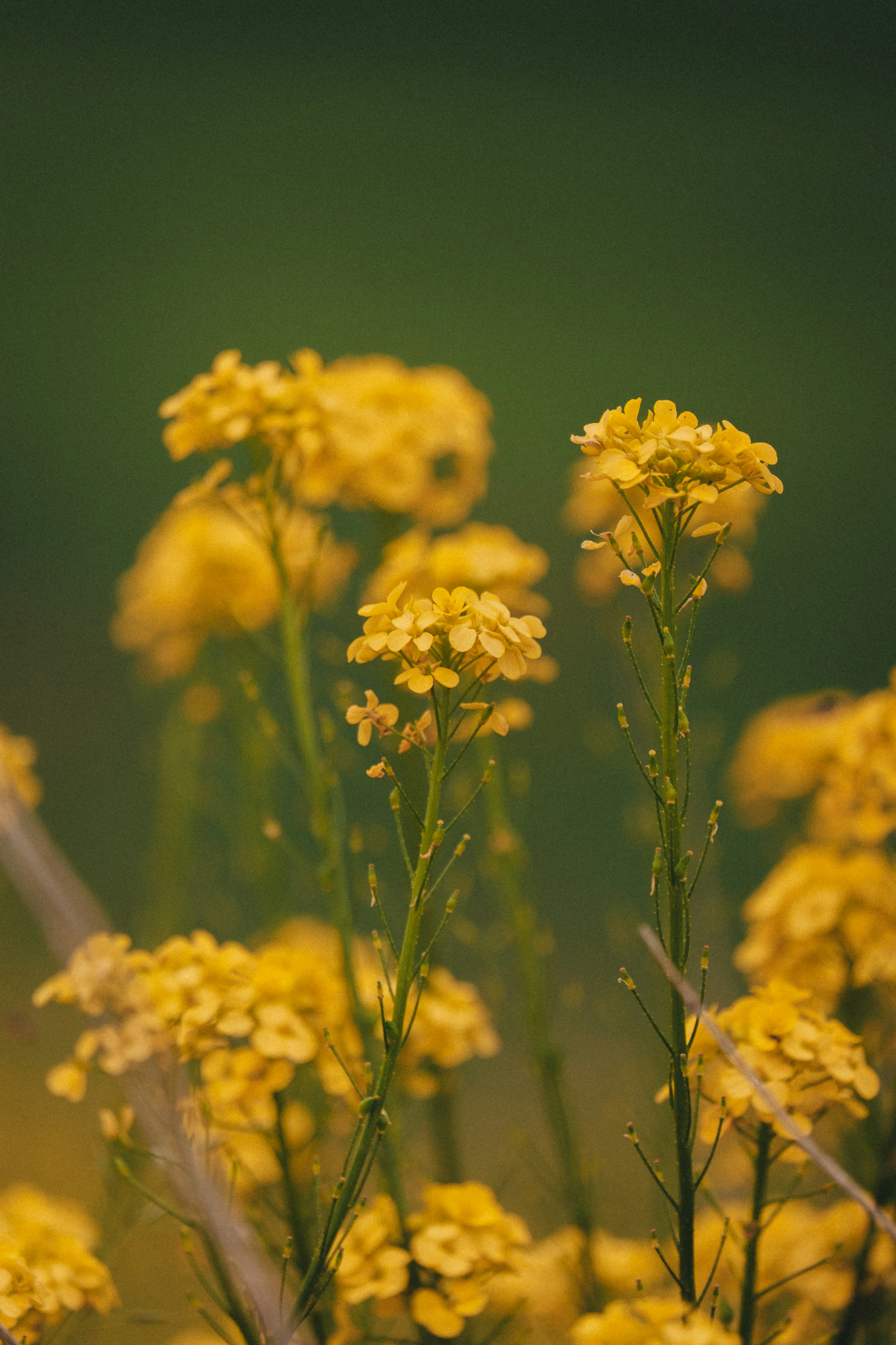 Photo by sunify