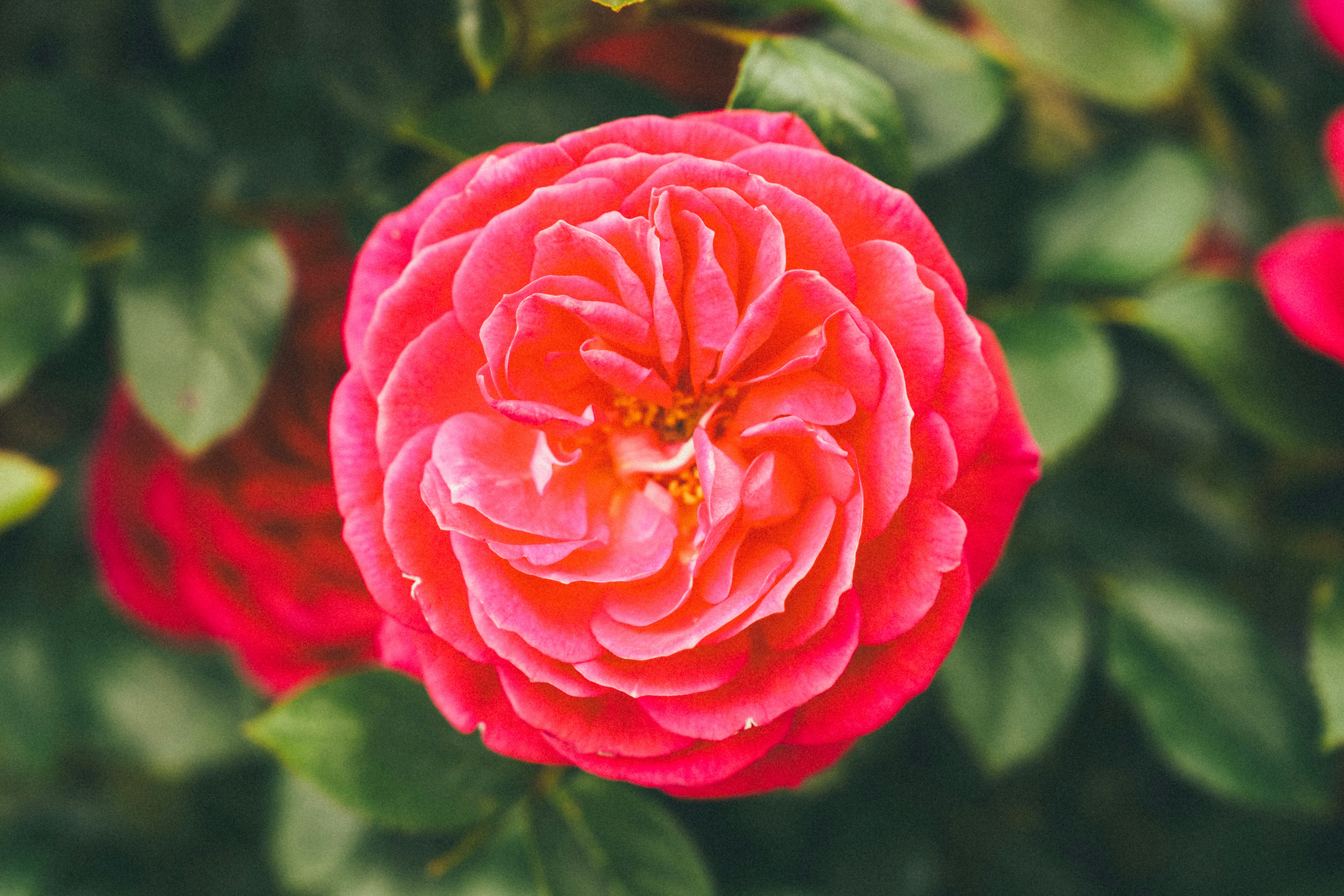Photo by ayotundeikuesan