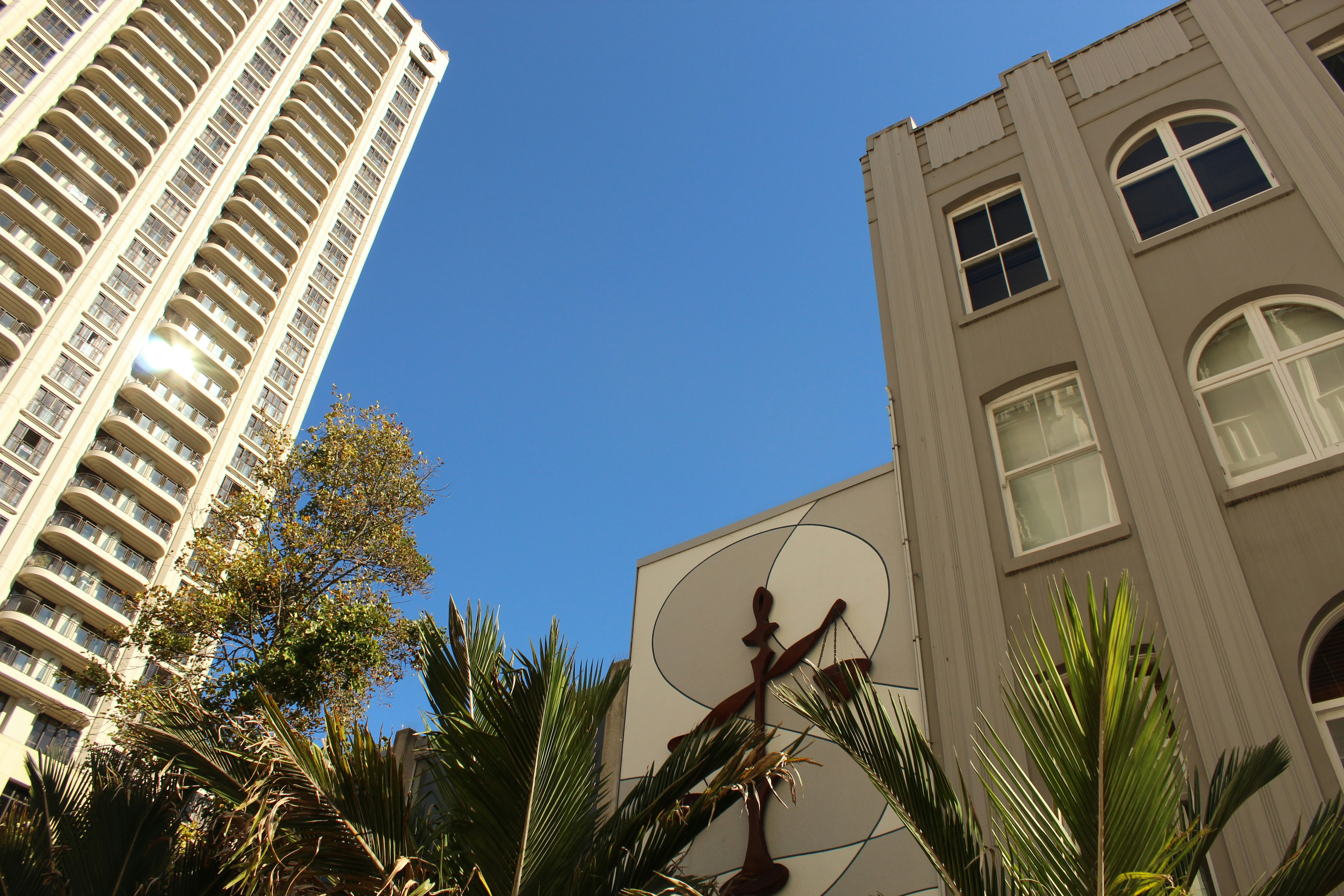 Tall buildings and palm trees against a clear blue sky.