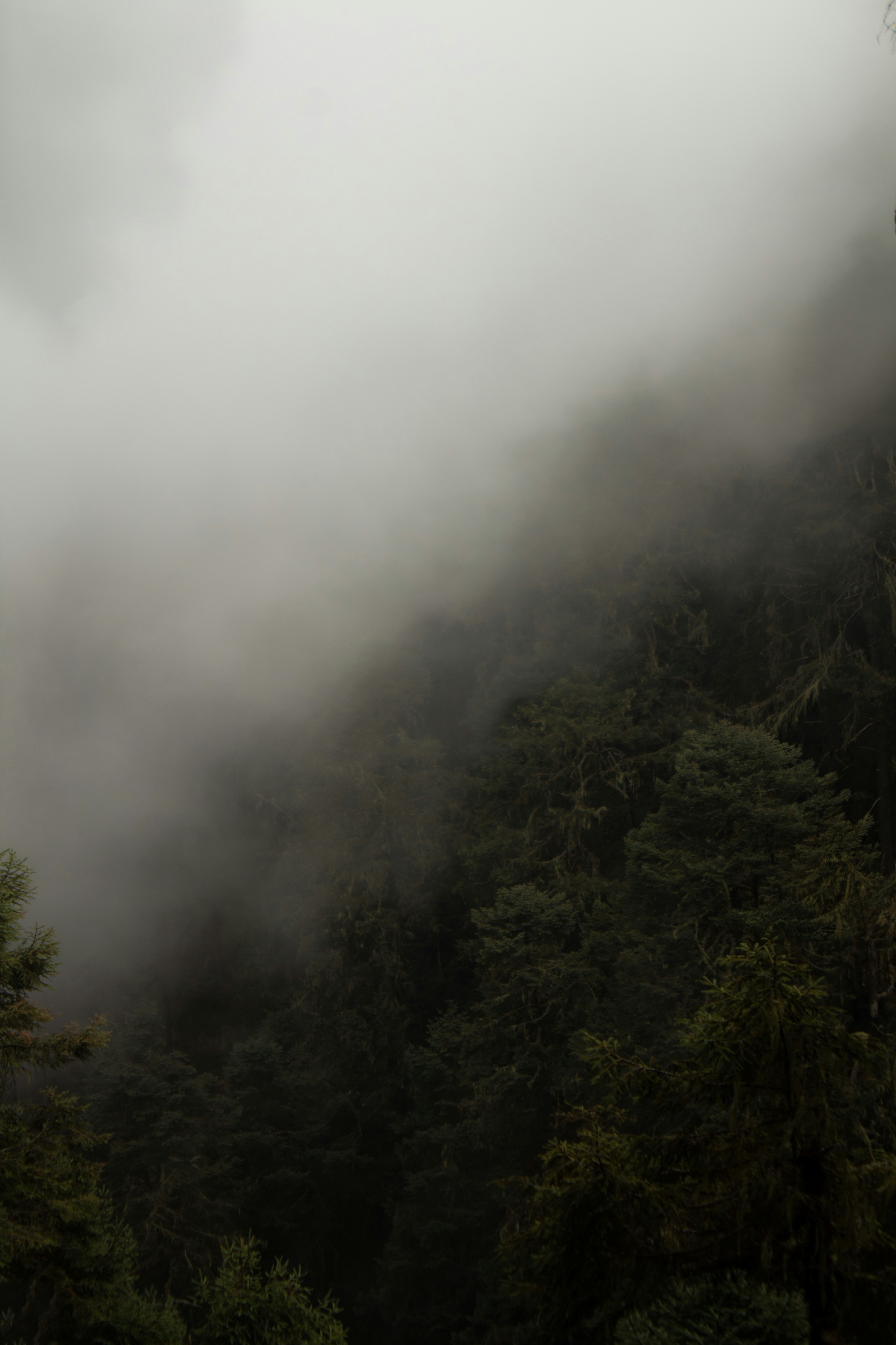 Photo by mayulec