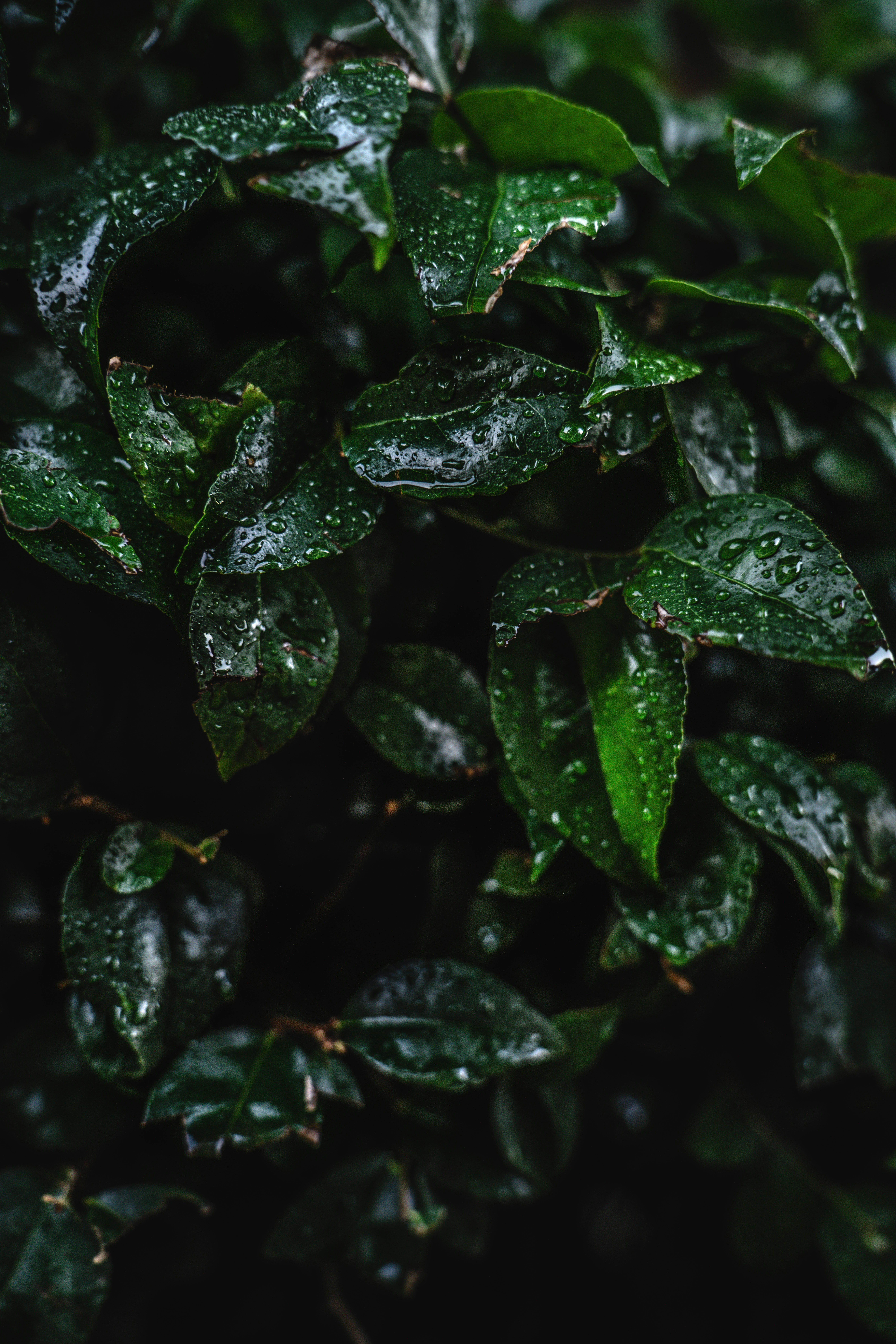 Photo by wrkbydom