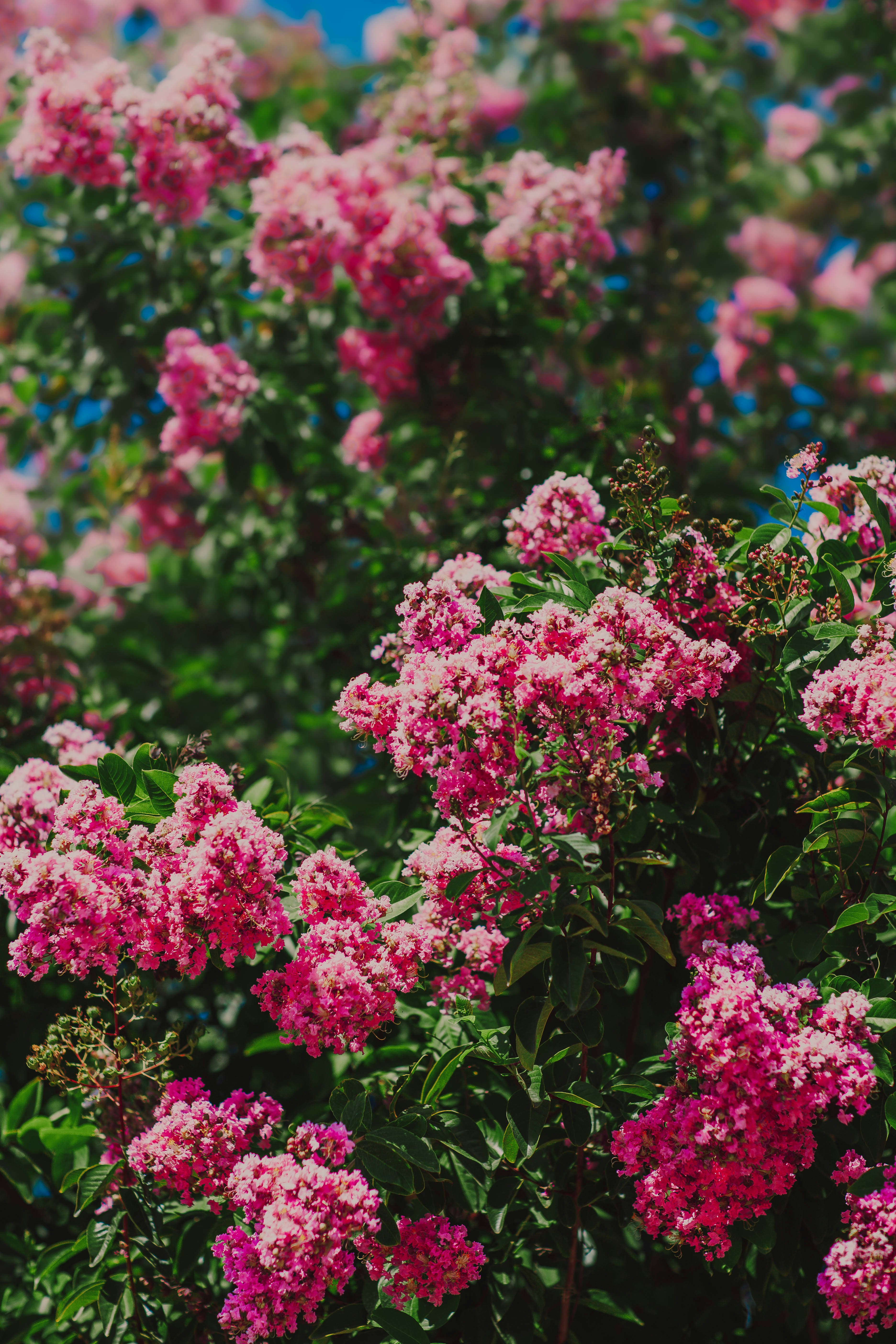 Photo by wrkbydom