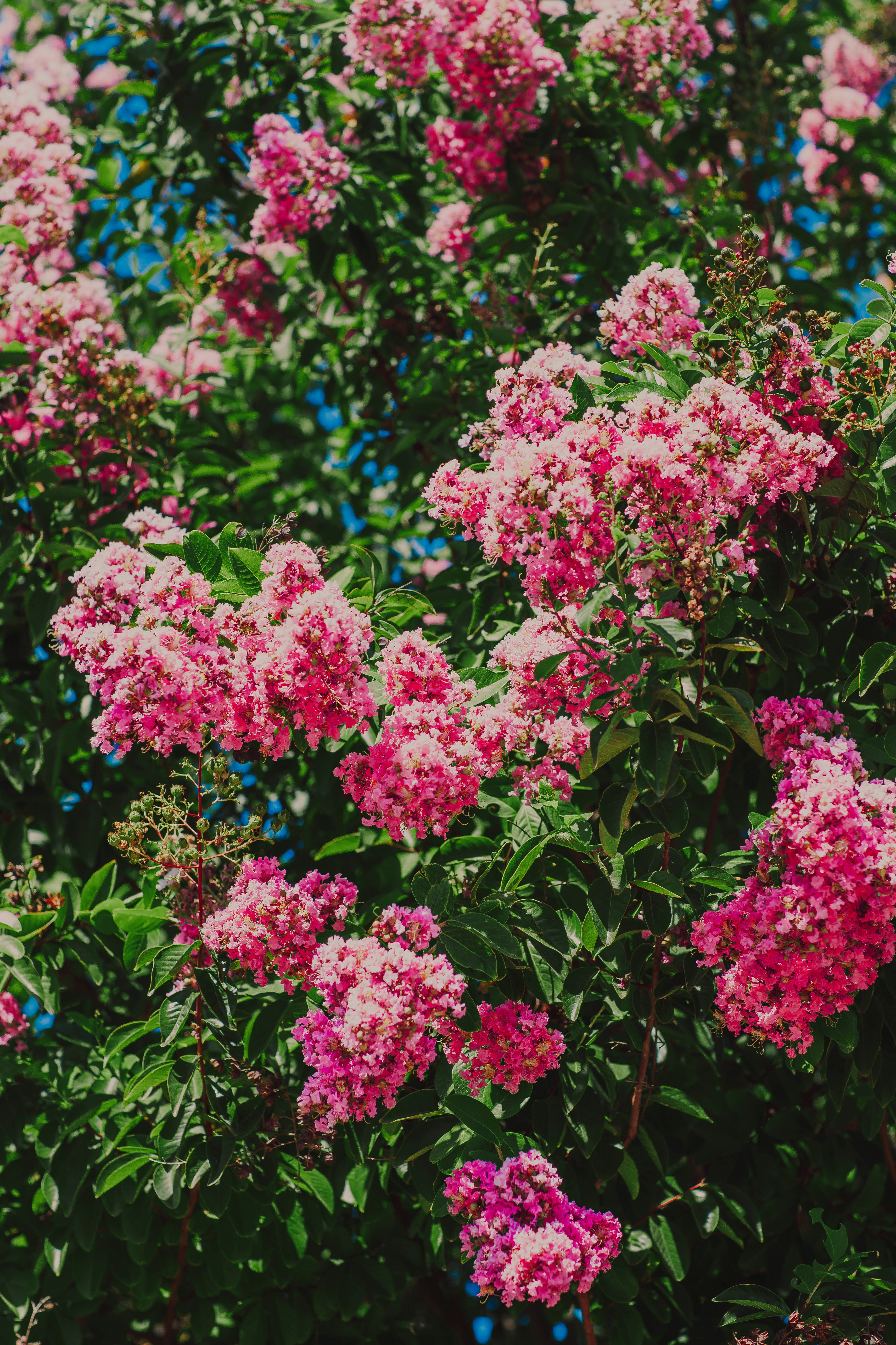 Photo by wrkbydom