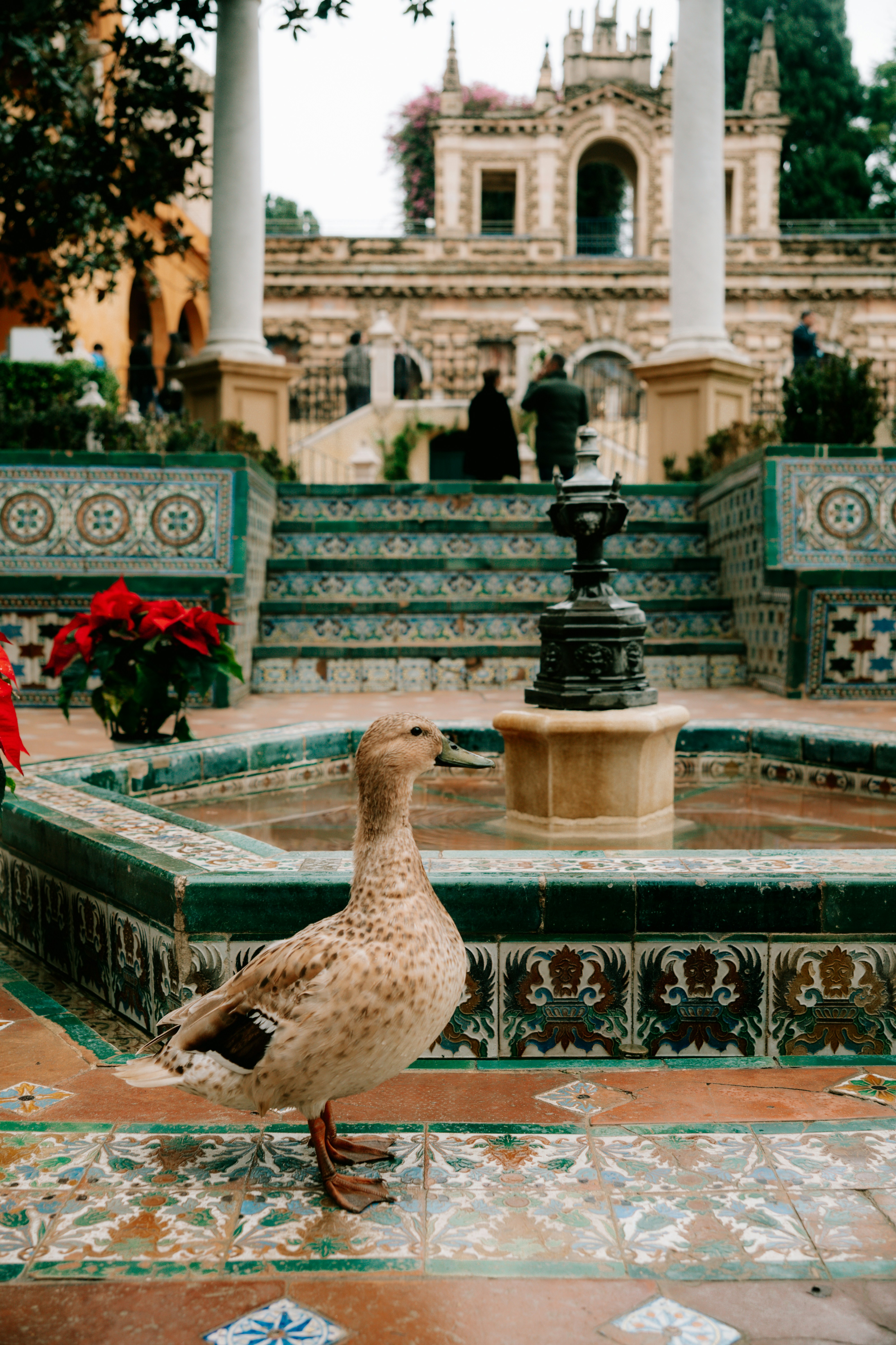 Un canard dans une cour carrelée ornée avec une fontaine.