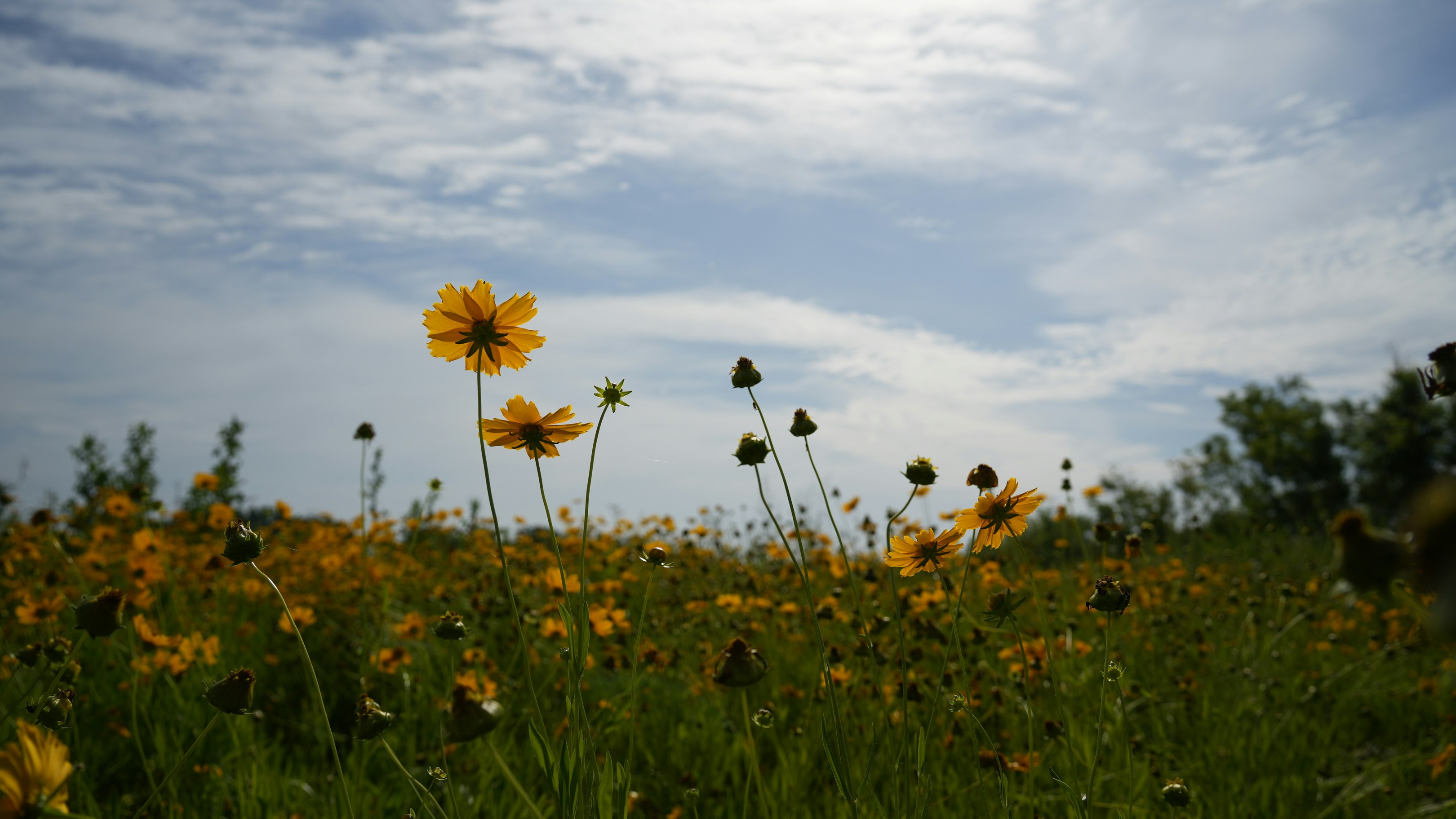 Photo by yimity