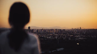 Silhouette of a person watching a city skyline at sunset