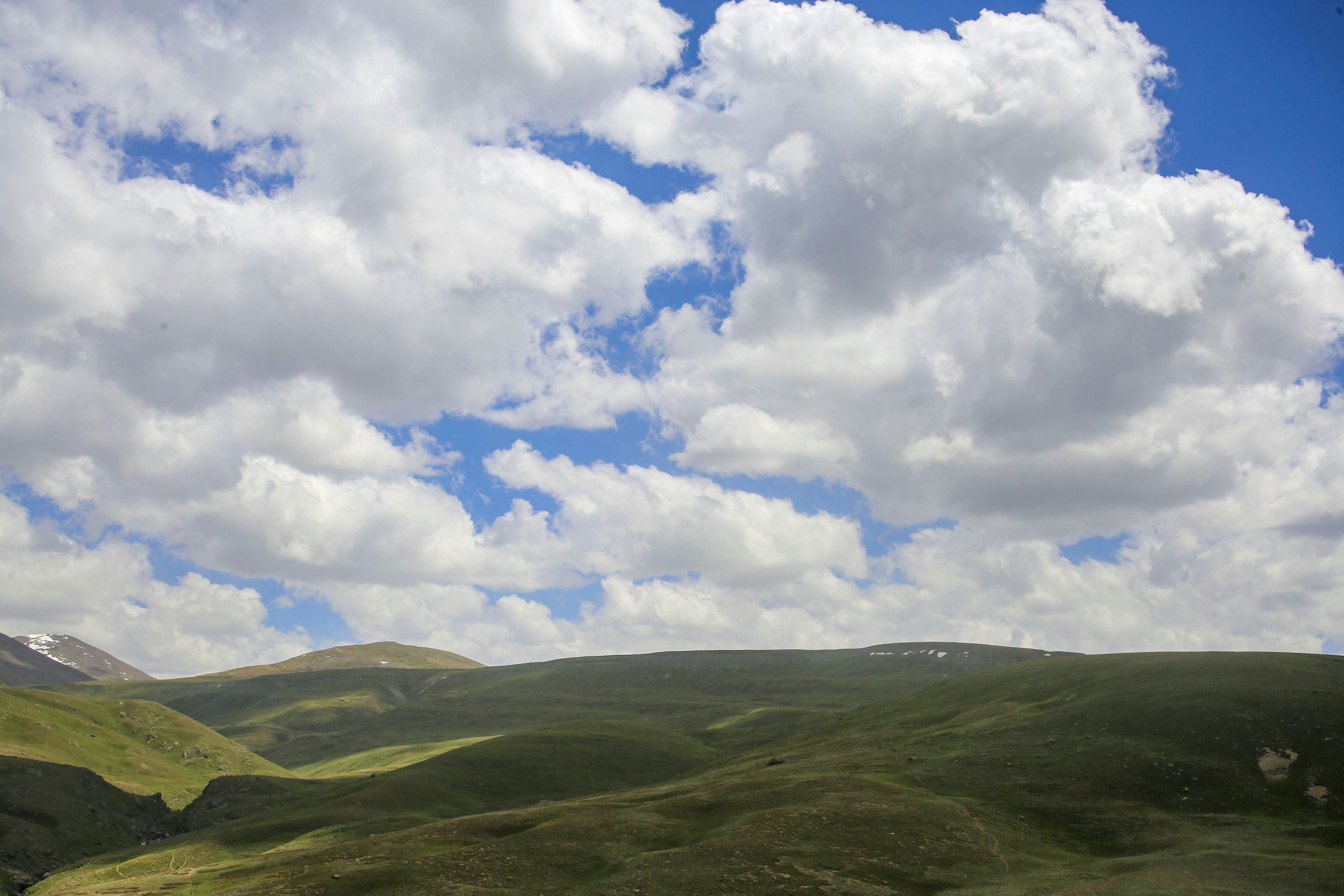 Photo by sohailh1