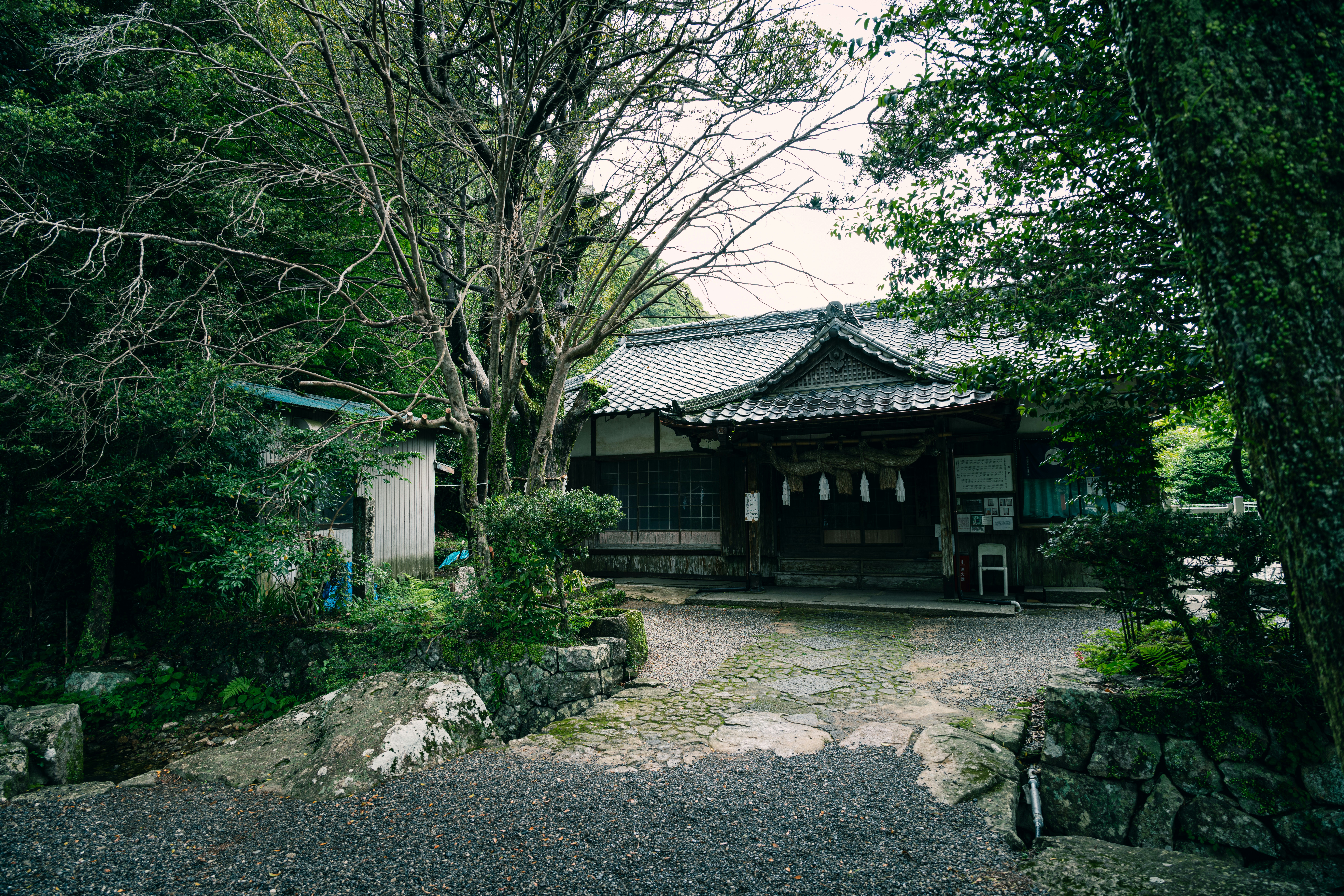 Photo by cybermacha