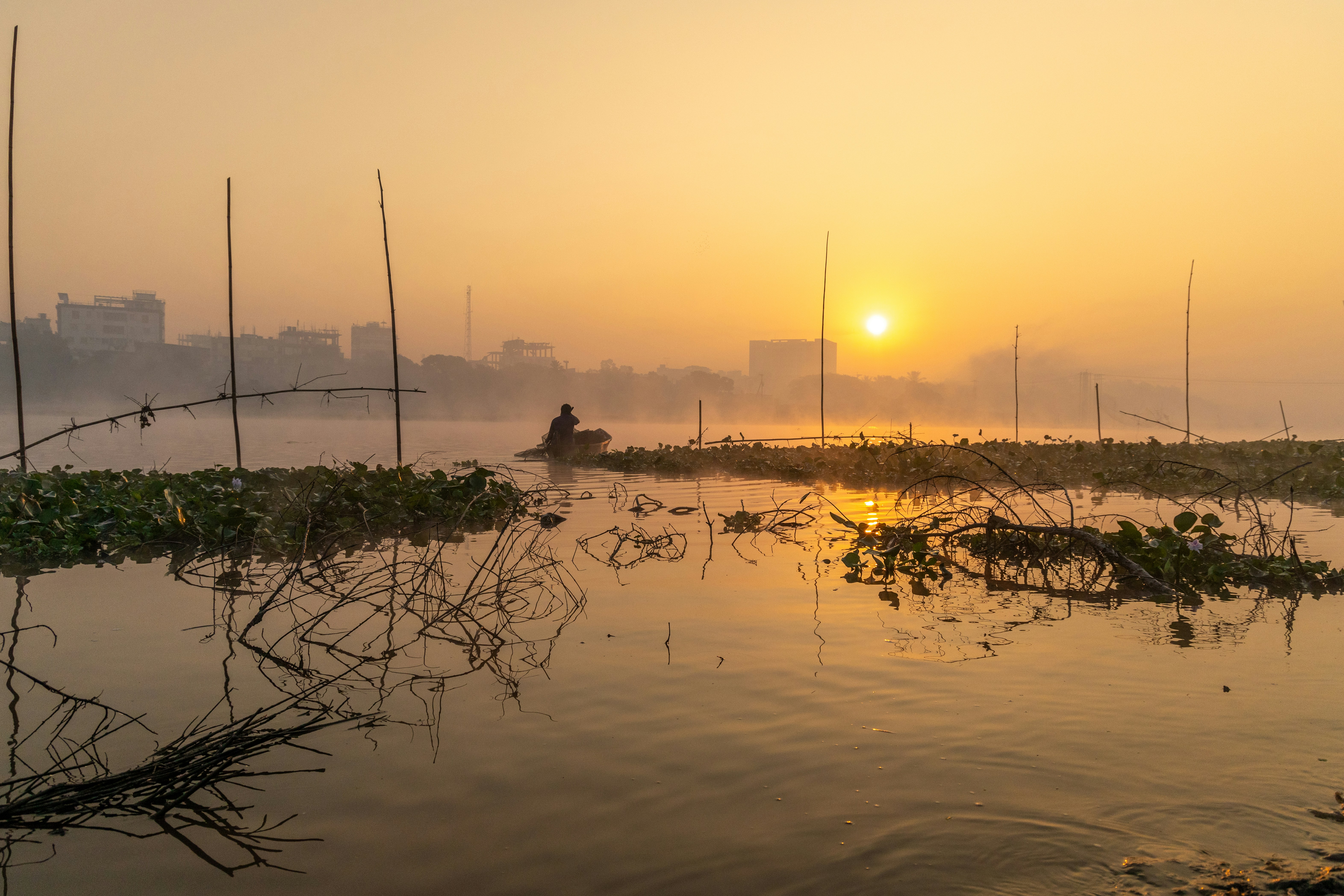 Photo by saifulphoto