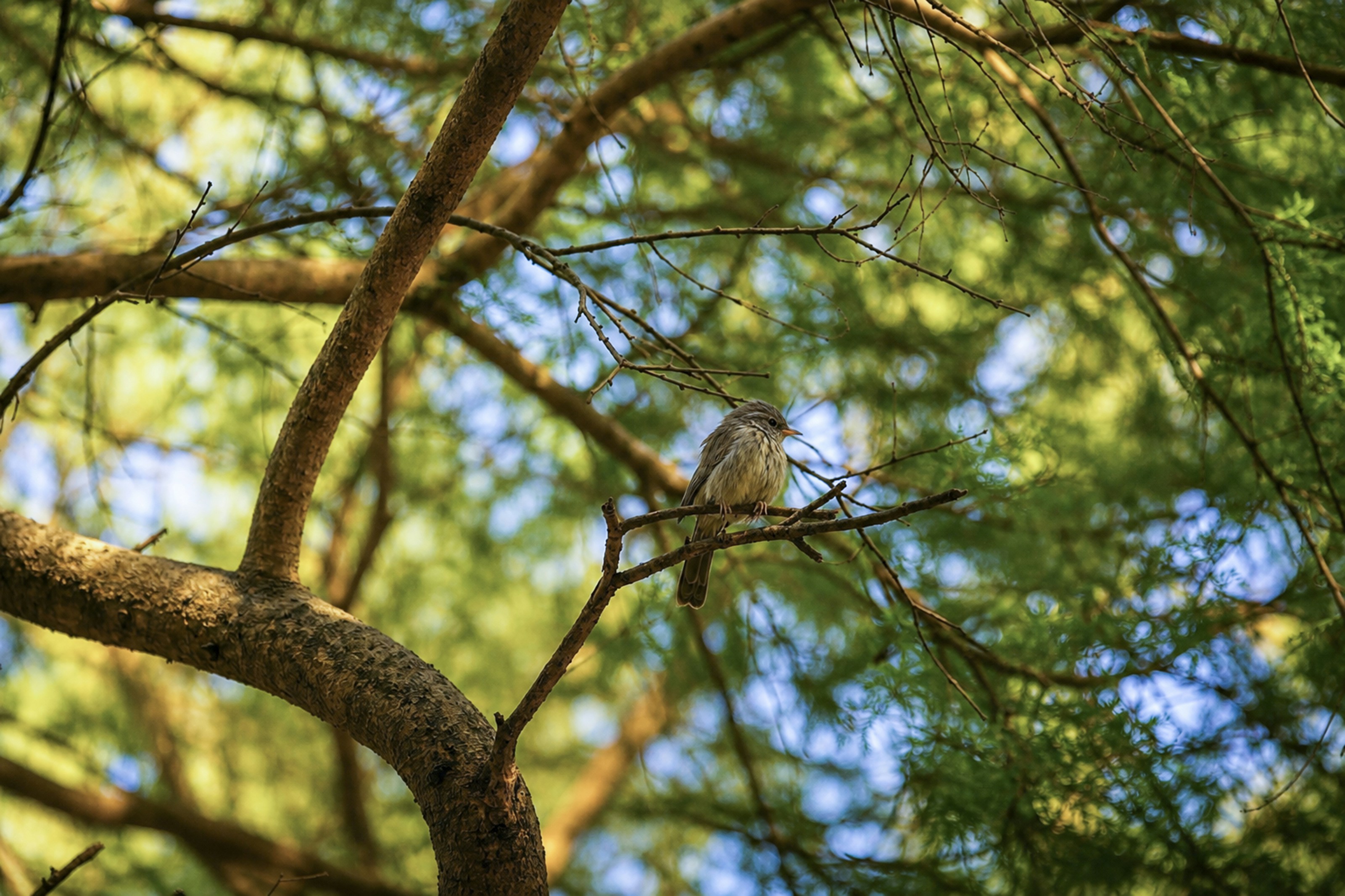 Photo by nitinvermaphotography