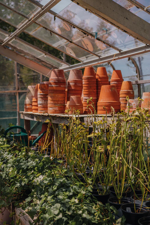 Stacked terracotta pots