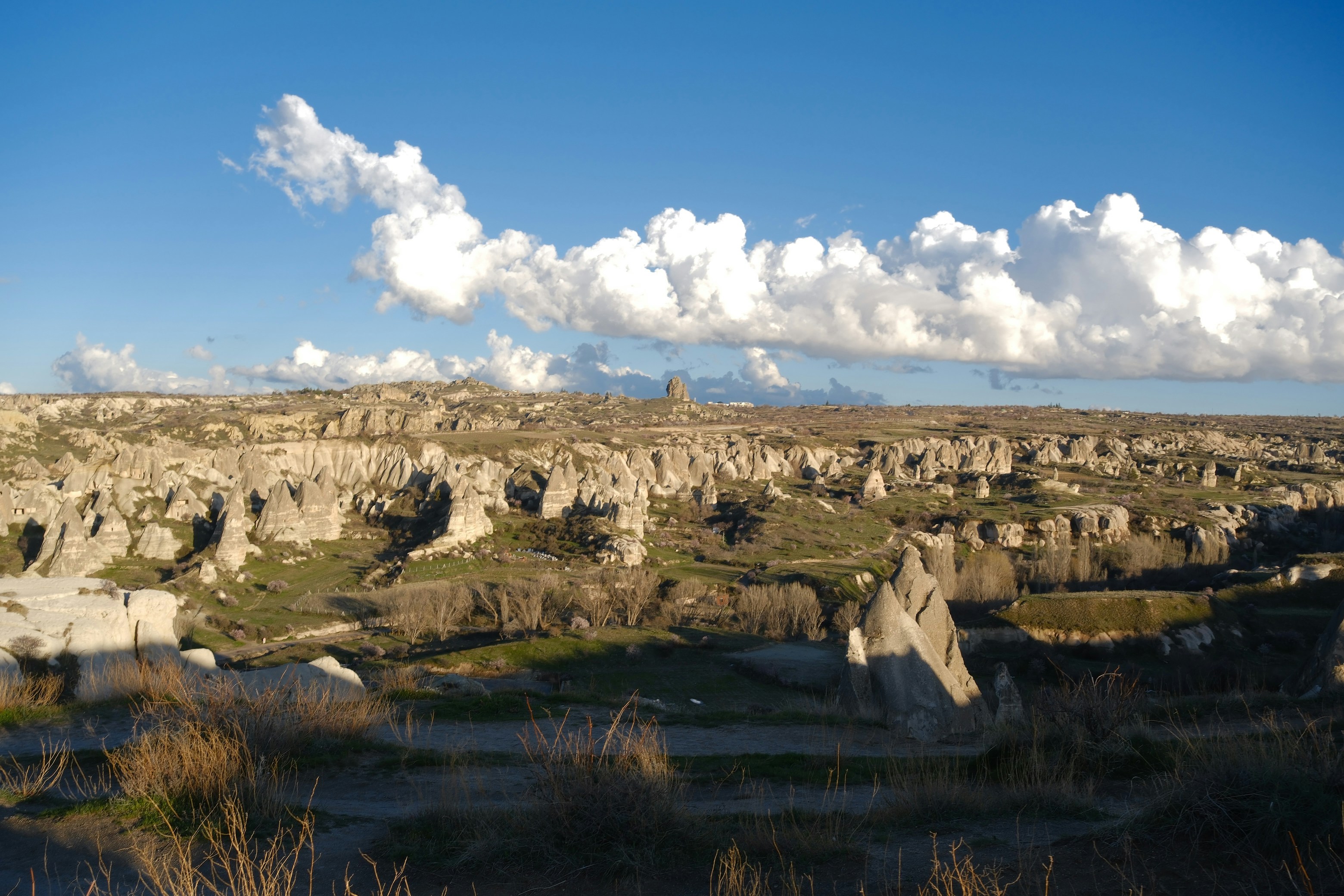 Arid landscape with unique rock formations under a blue sky.