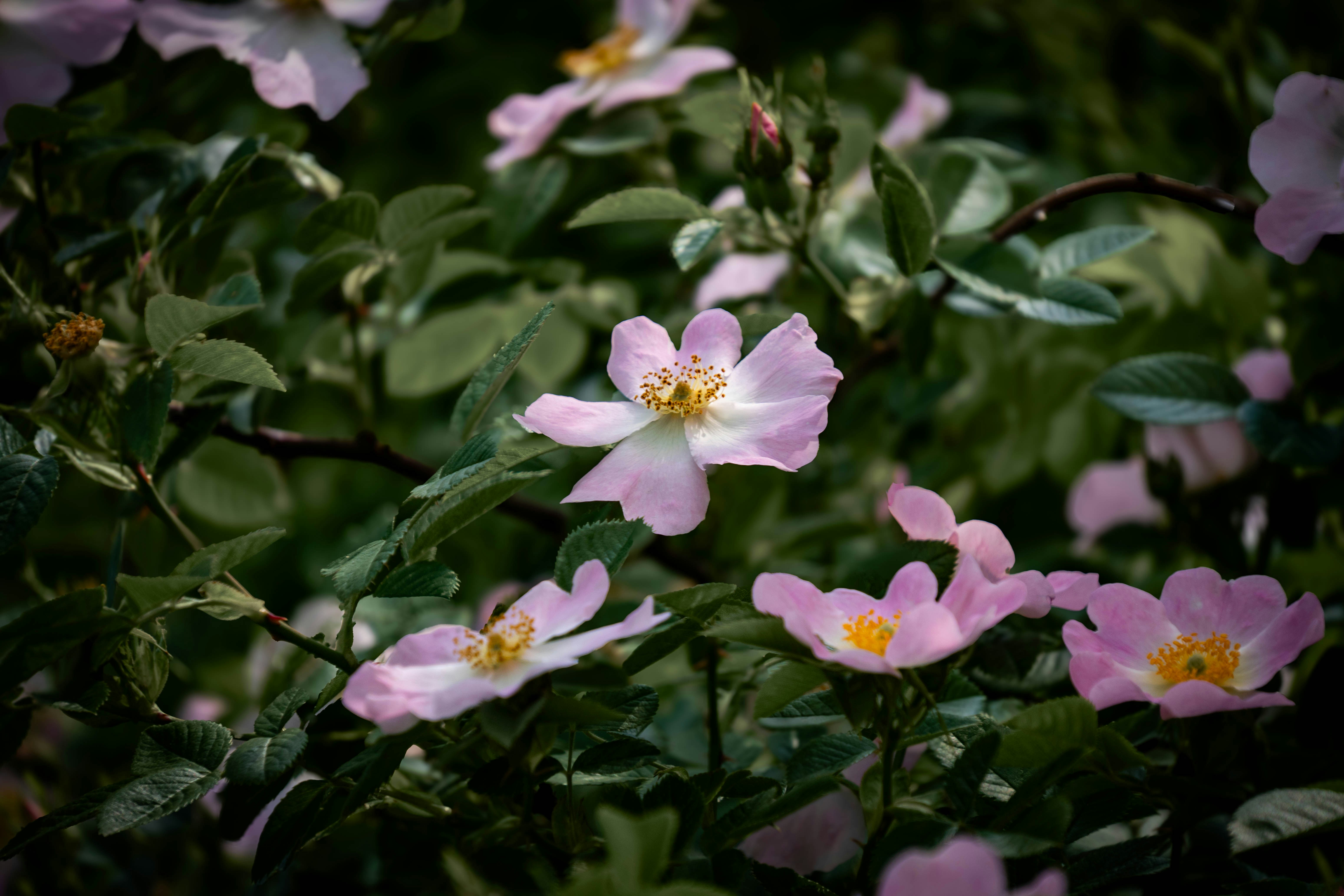 Photo by maviatlas