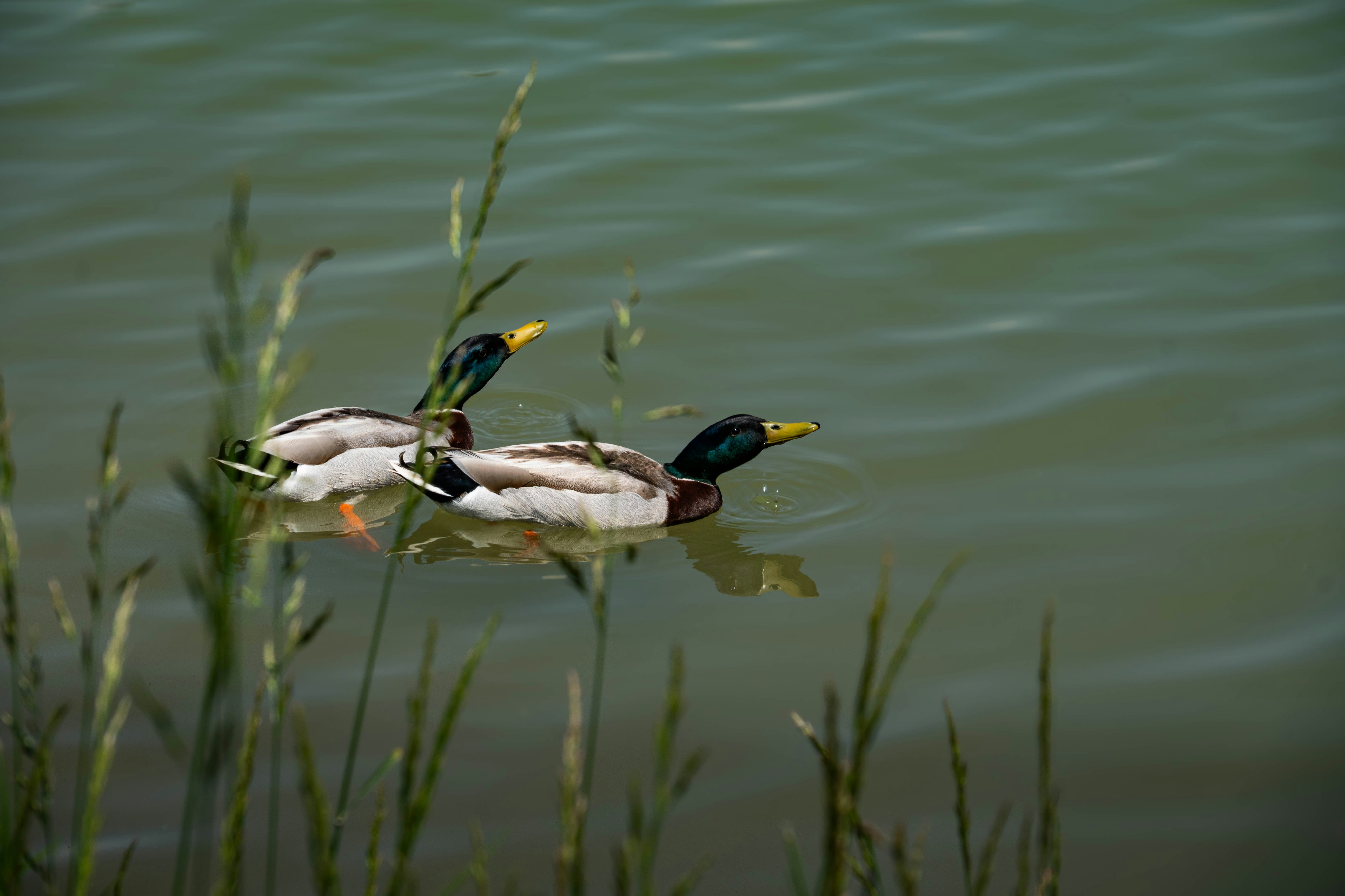 Photo by maviatlas