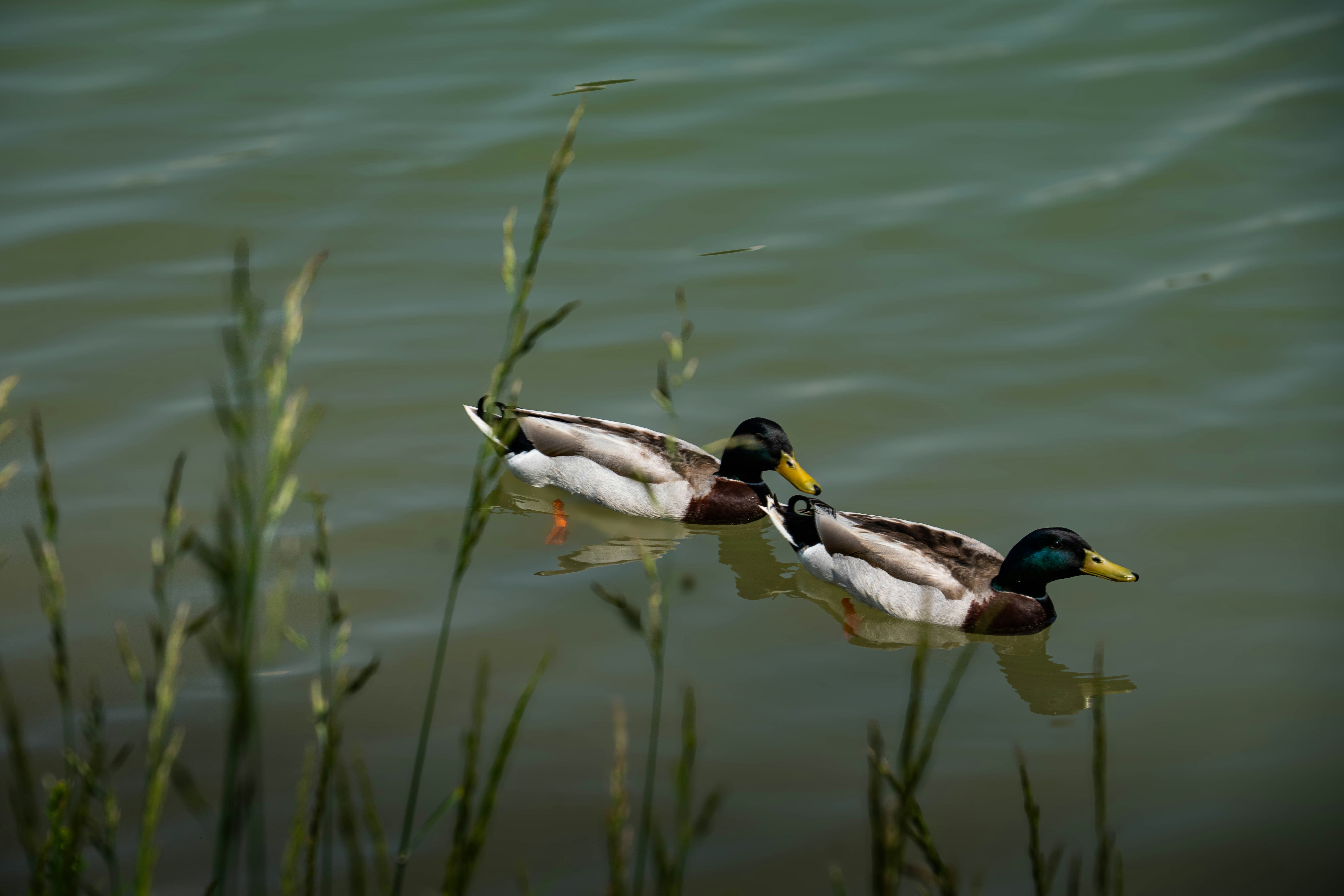 Photo by maviatlas