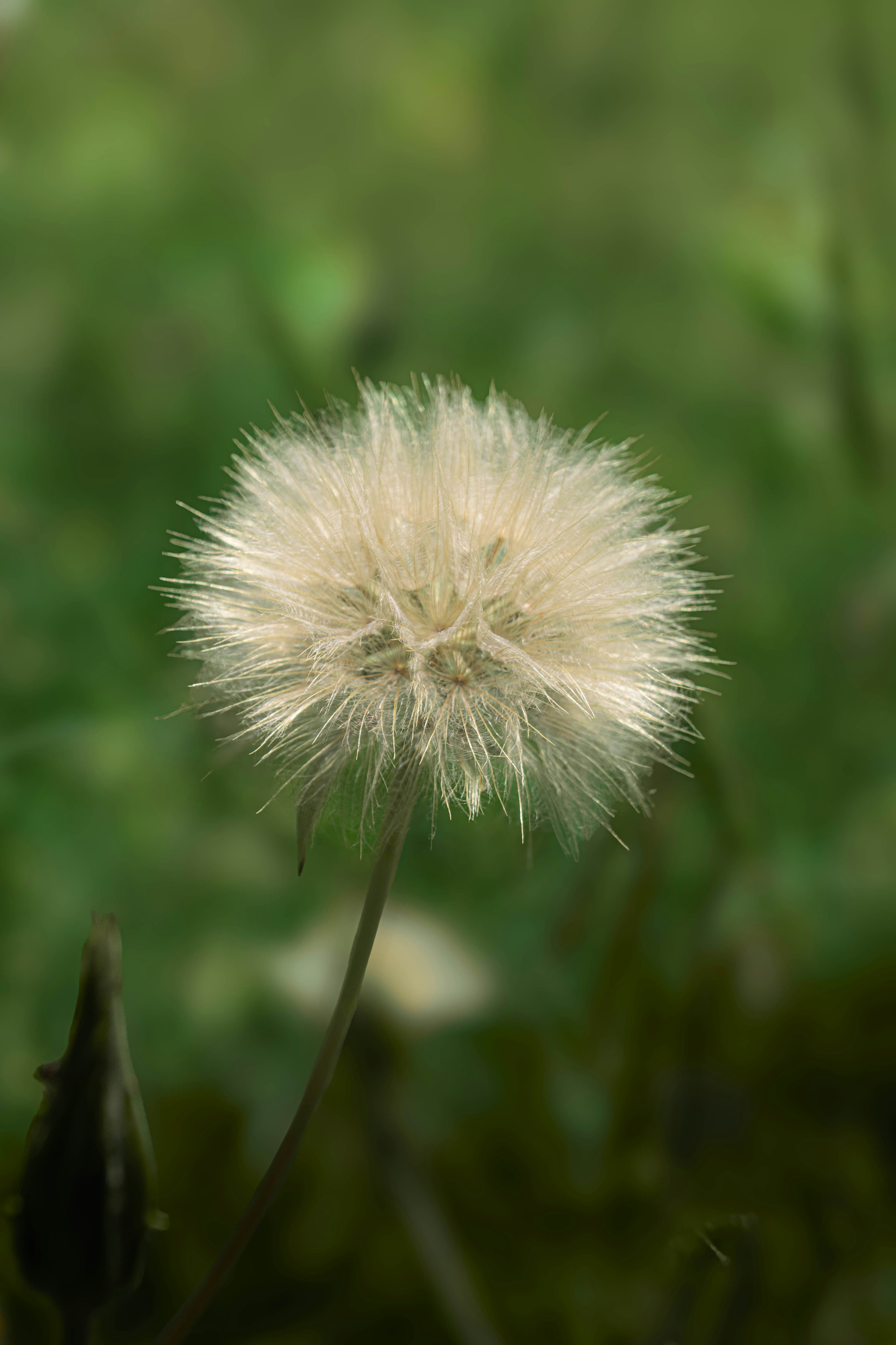Photo by maviatlas