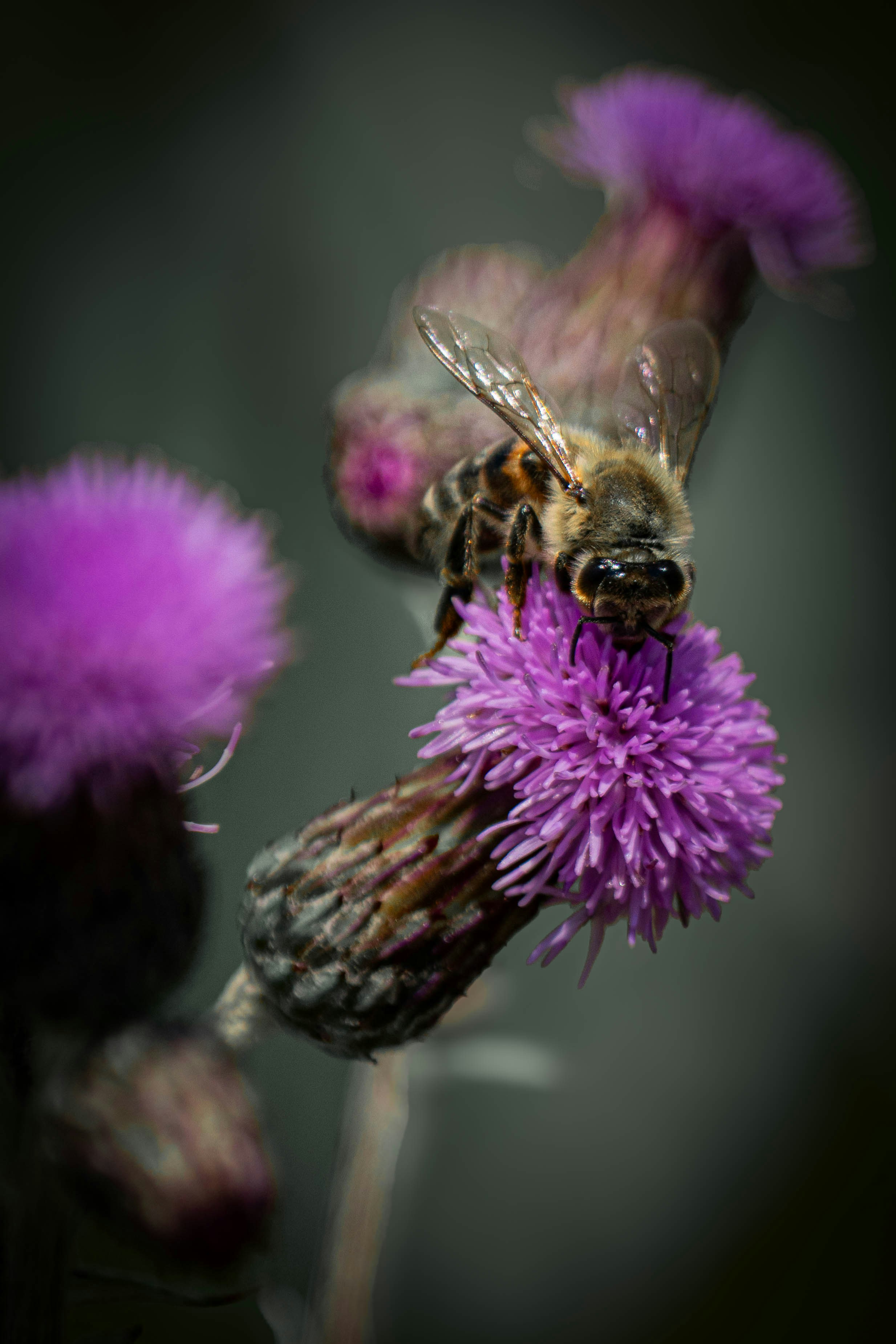 Photo by maviatlas