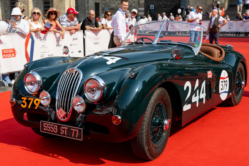 Jaguar de collection