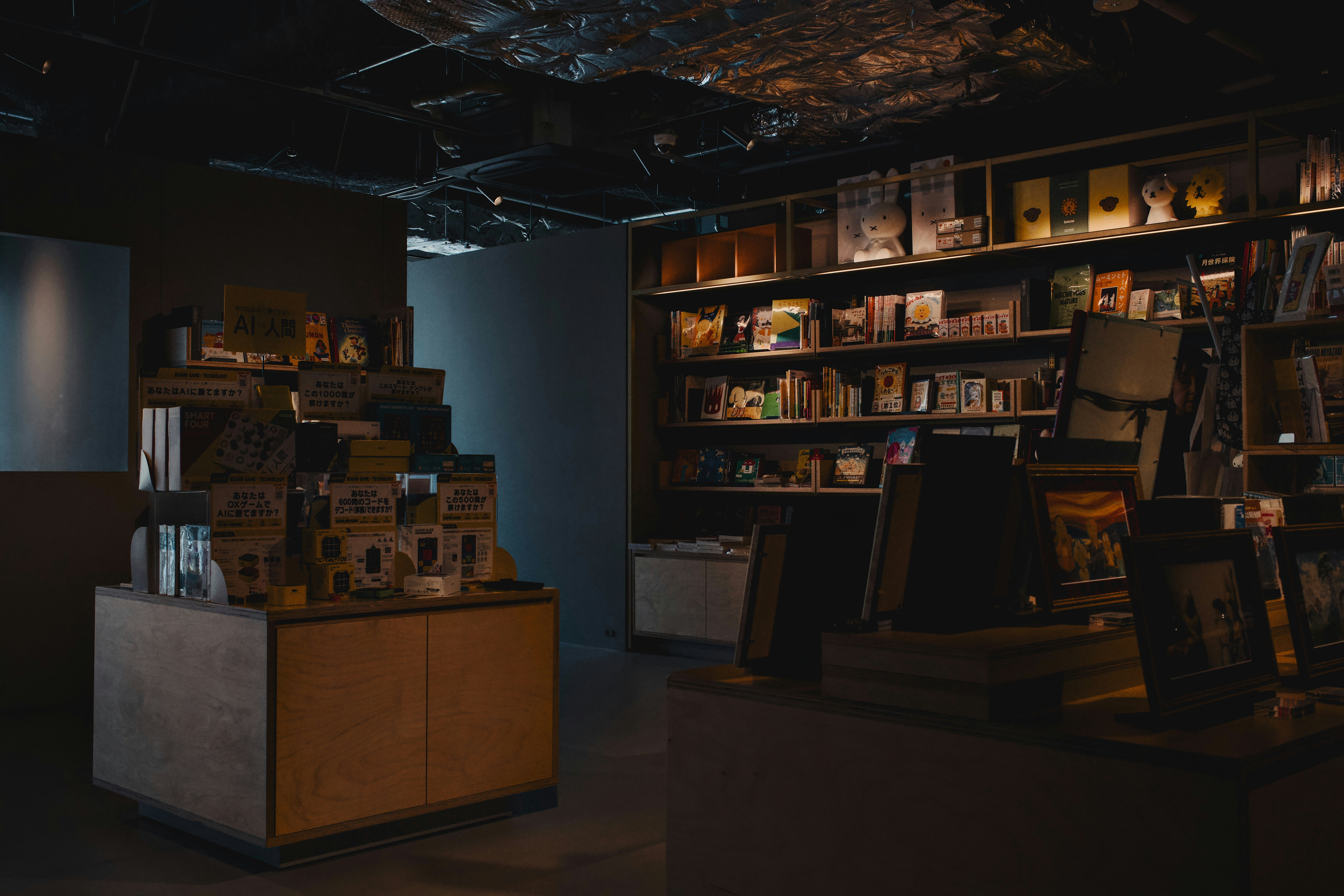 Dimly lit store interior with shelves and display stands.