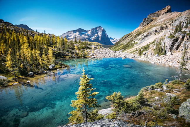 16-Day Canada Family Itinerary: Epic & Relaxed Journey