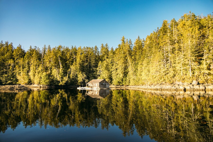 Weathered timber boathouse on a mirror-calm inlet below a sunlit wall of conifers