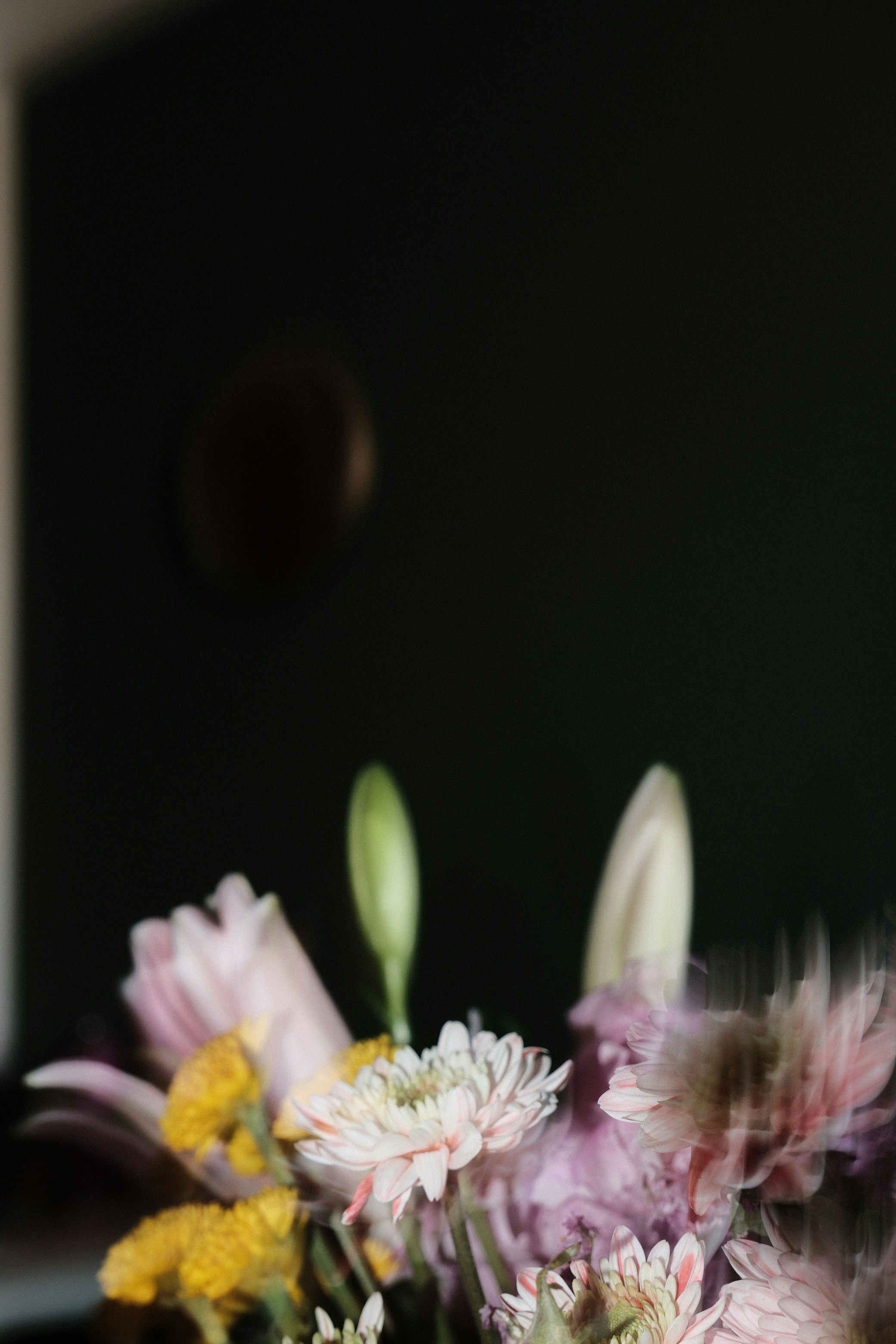 Photo by rosaliegdy