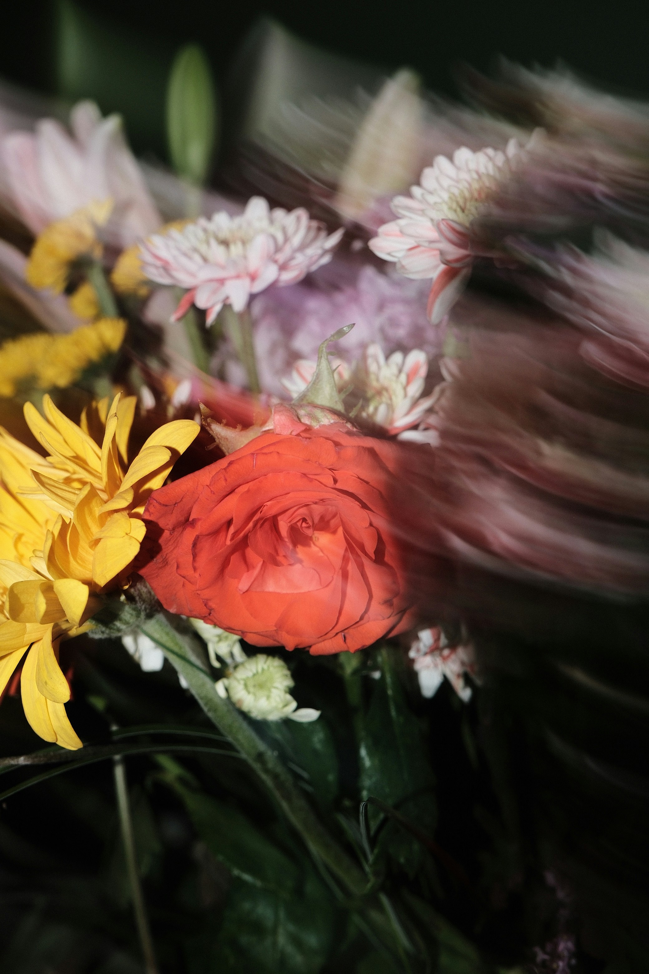 Photo by rosaliegdy