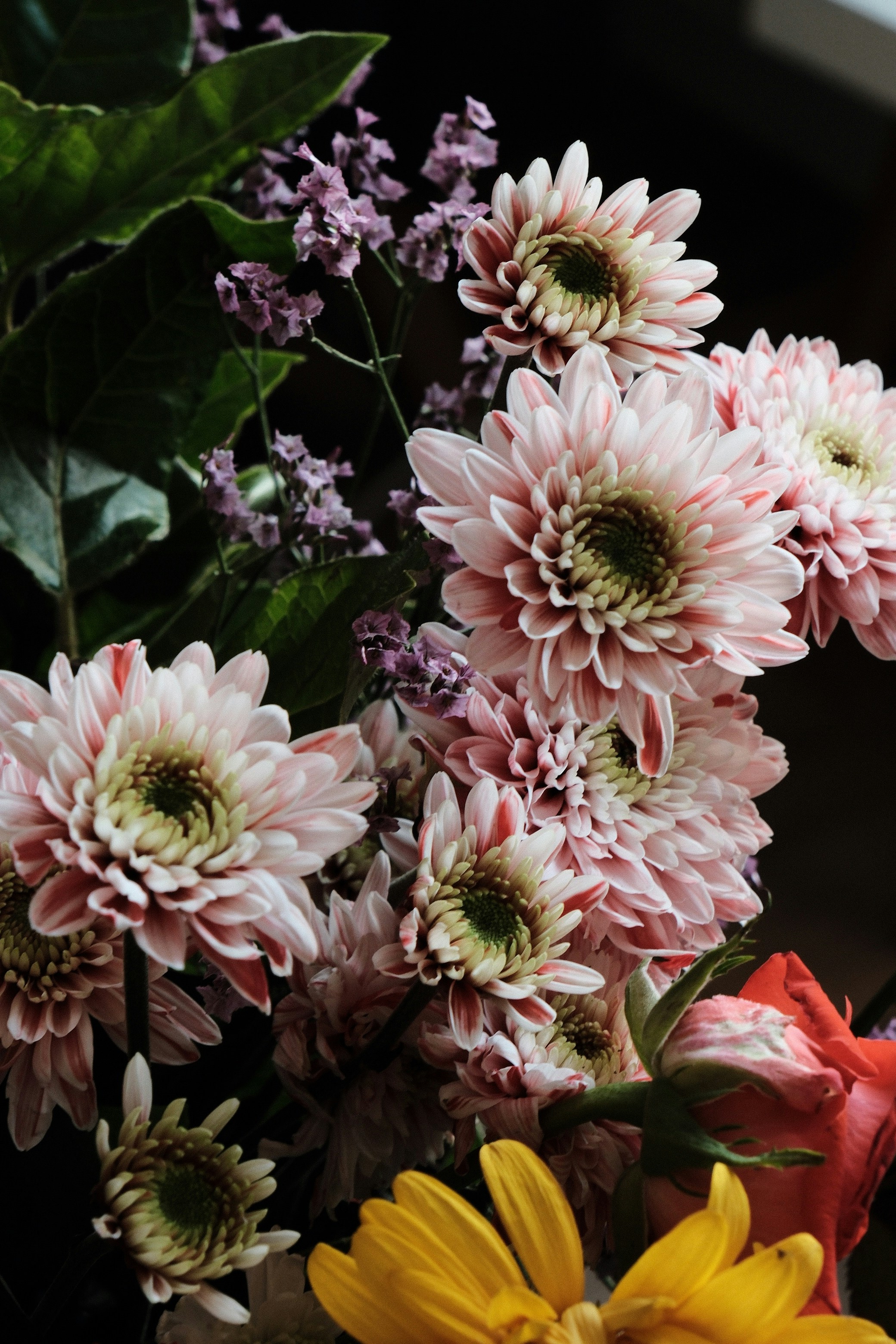Photo by rosaliegdy