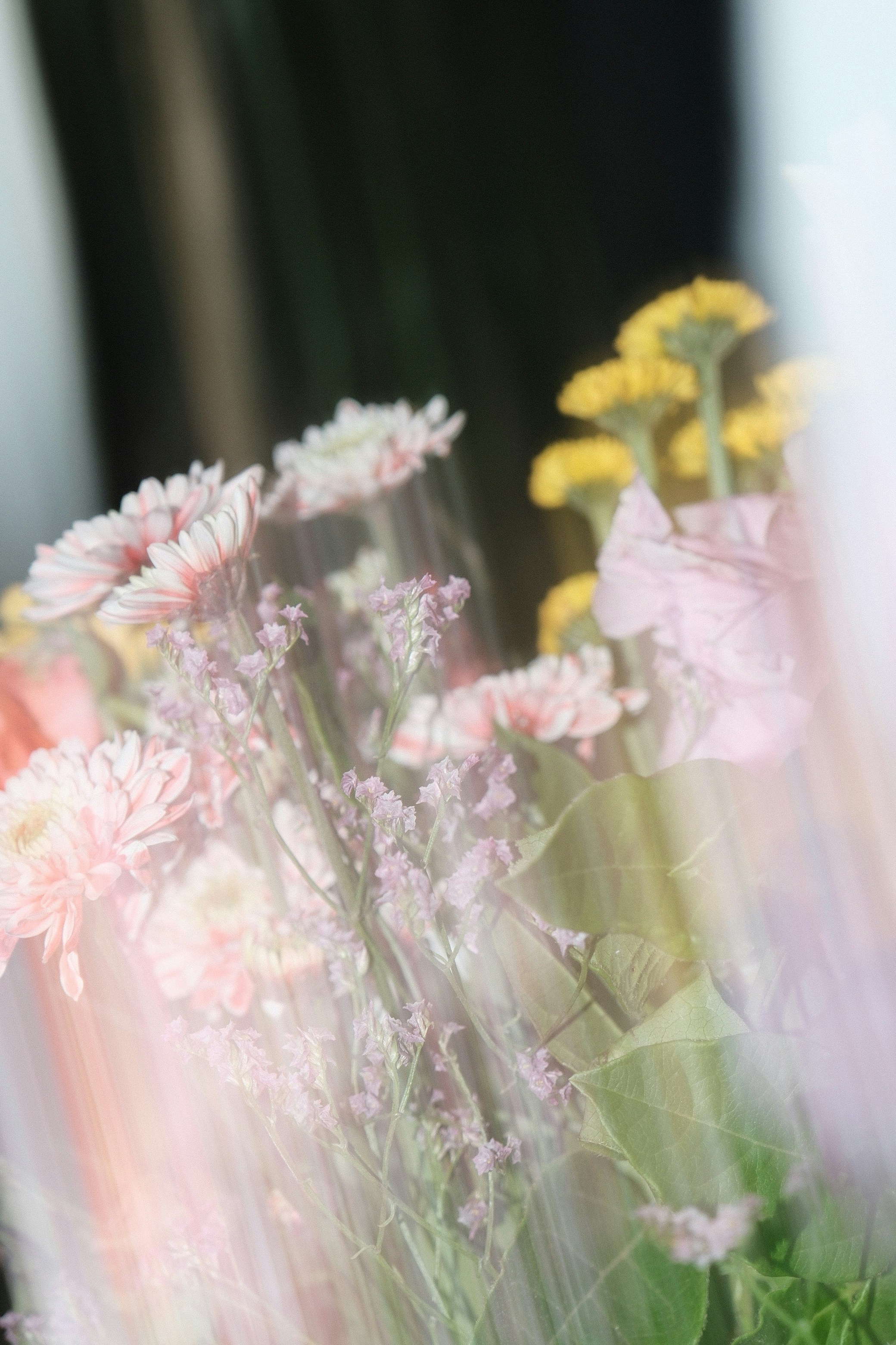 Photo by rosaliegdy