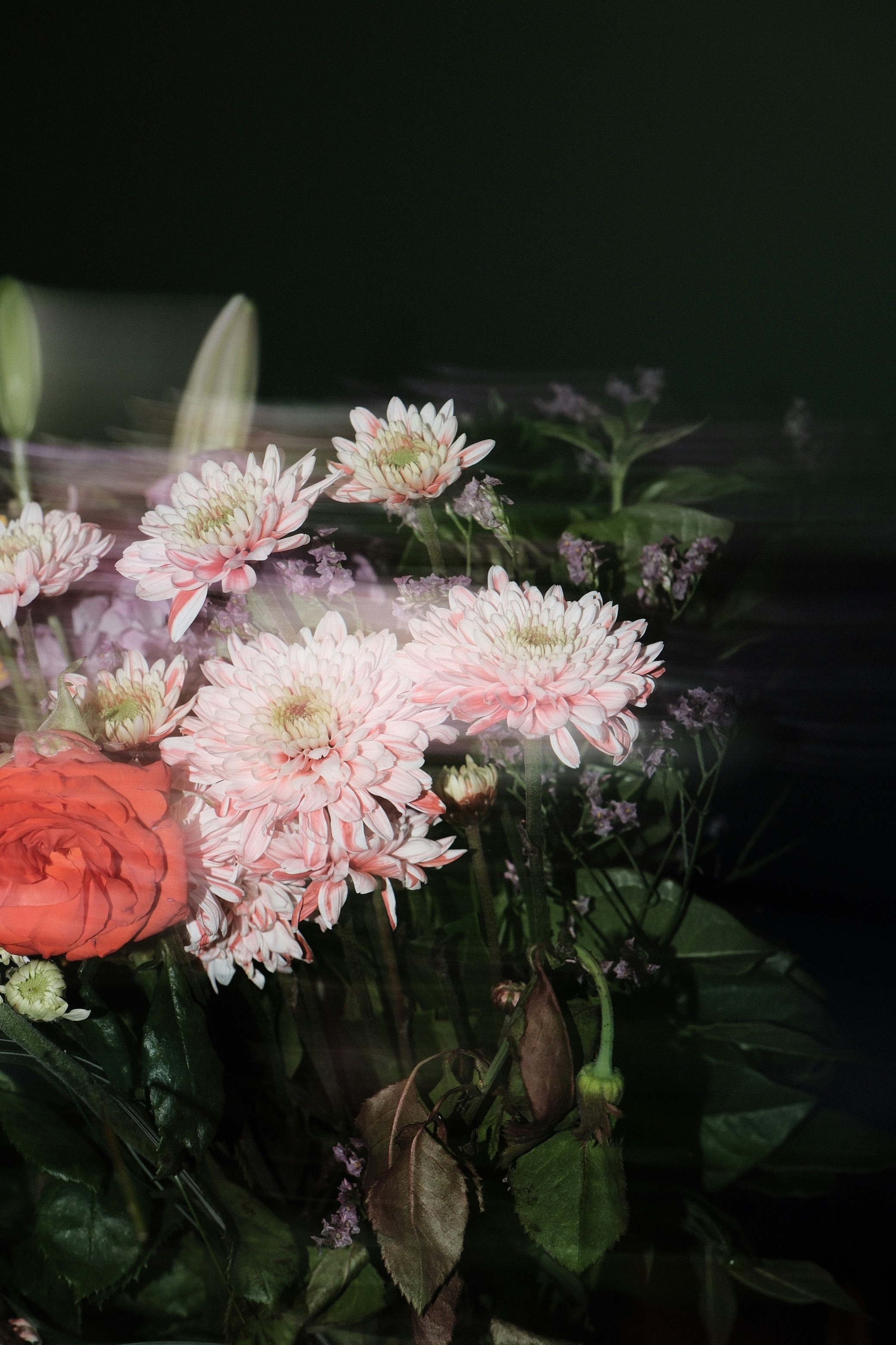 Photo by rosaliegdy