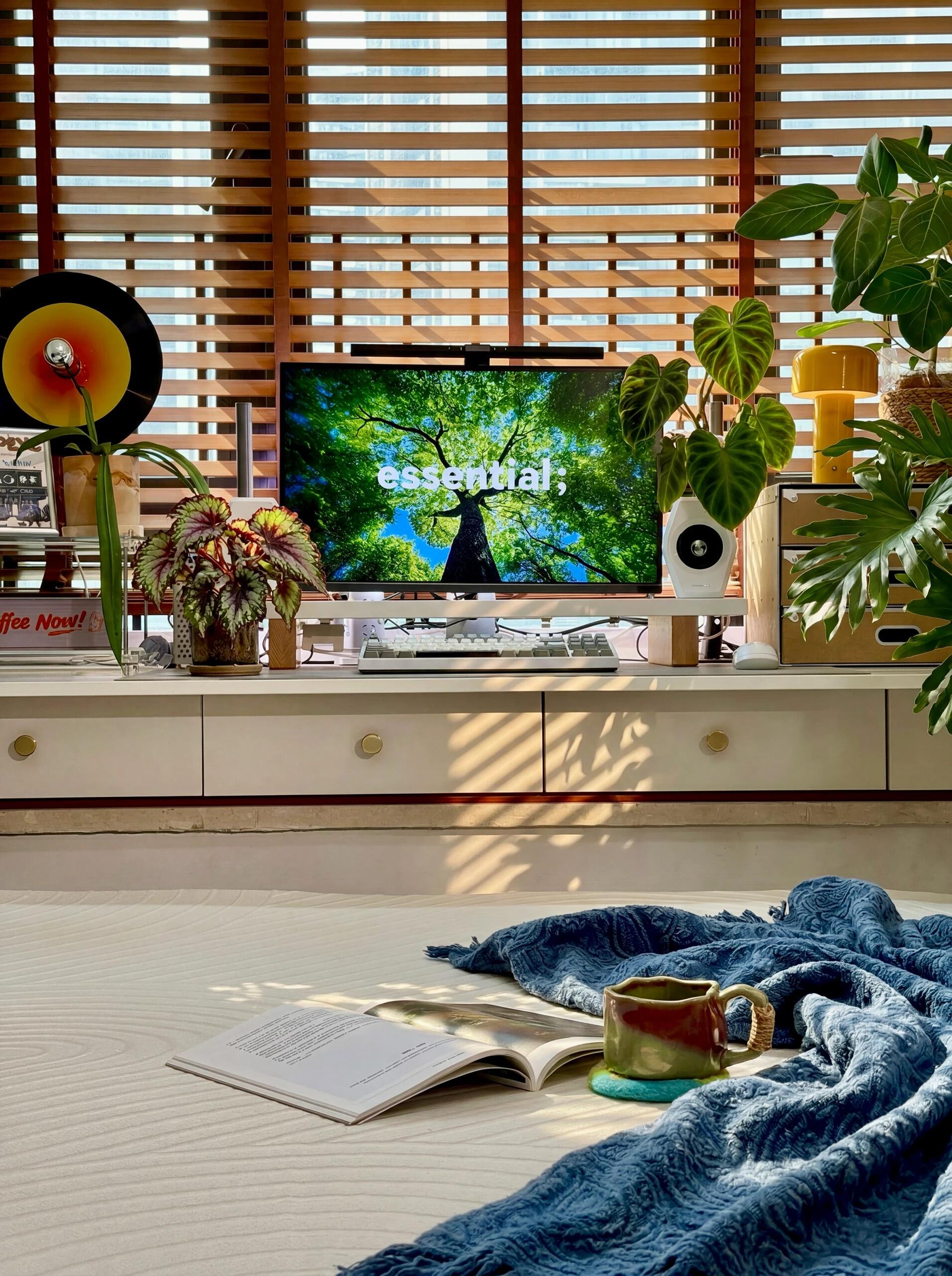 Salon douillet avec télévision, plantes, livre et café.